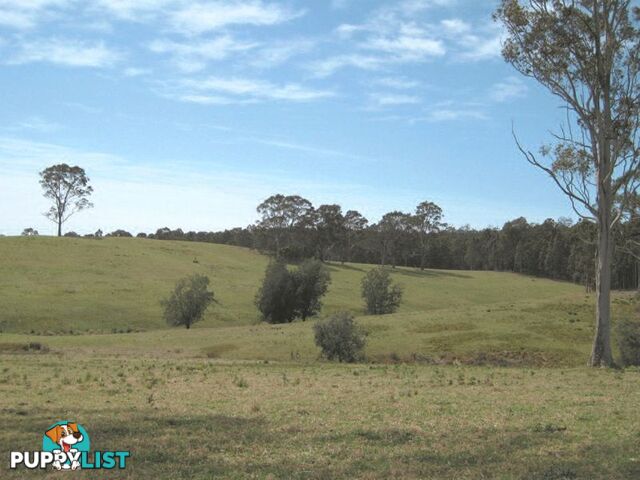 1 Gannons Point Road Long Paddock BODALLA NSW 2545