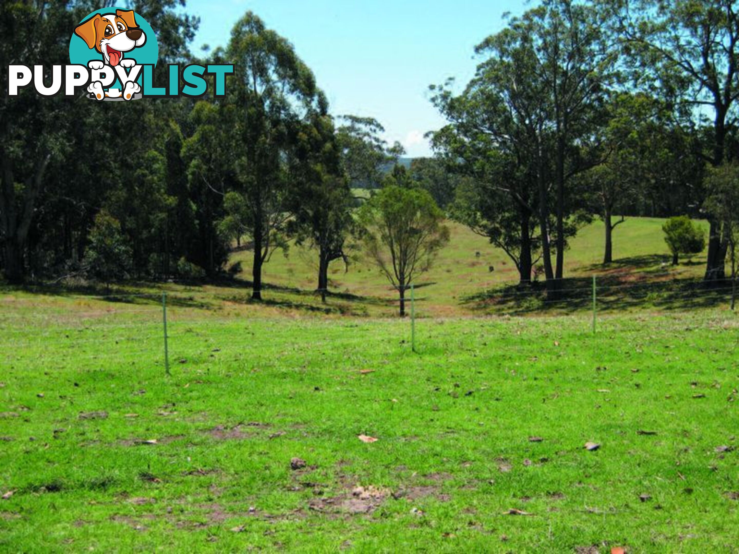 1 Gannons Point Road Long Paddock BODALLA NSW 2545