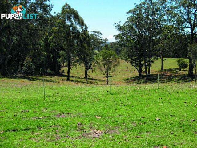 1 Gannons Point Road Long Paddock BODALLA NSW 2545