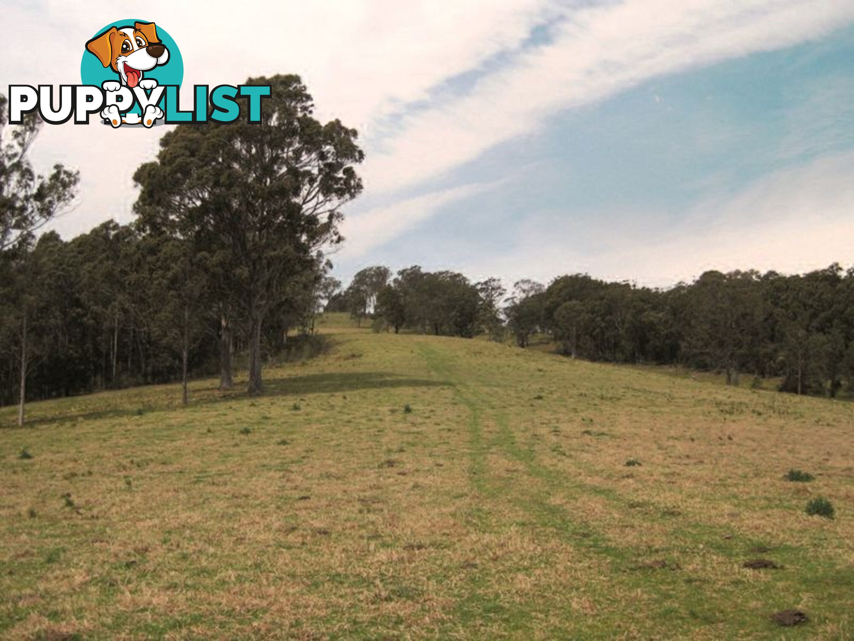 1 Gannons Point Road Long Paddock BODALLA NSW 2545