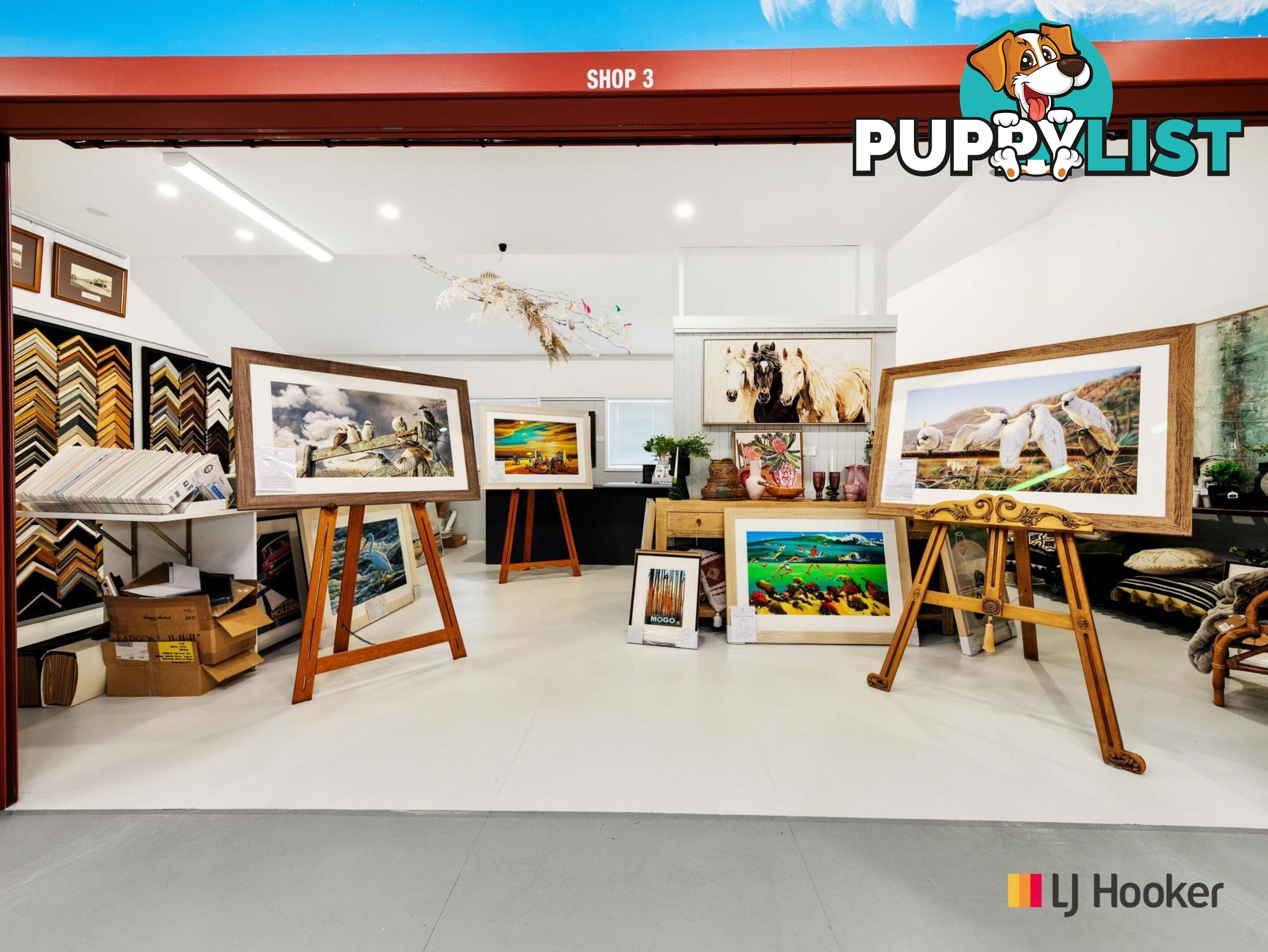 46 Sydney Street MOGO NSW 2536