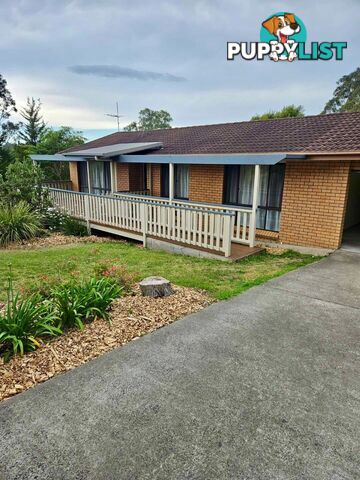 1 Panorama Pde MORUYA NSW 2537