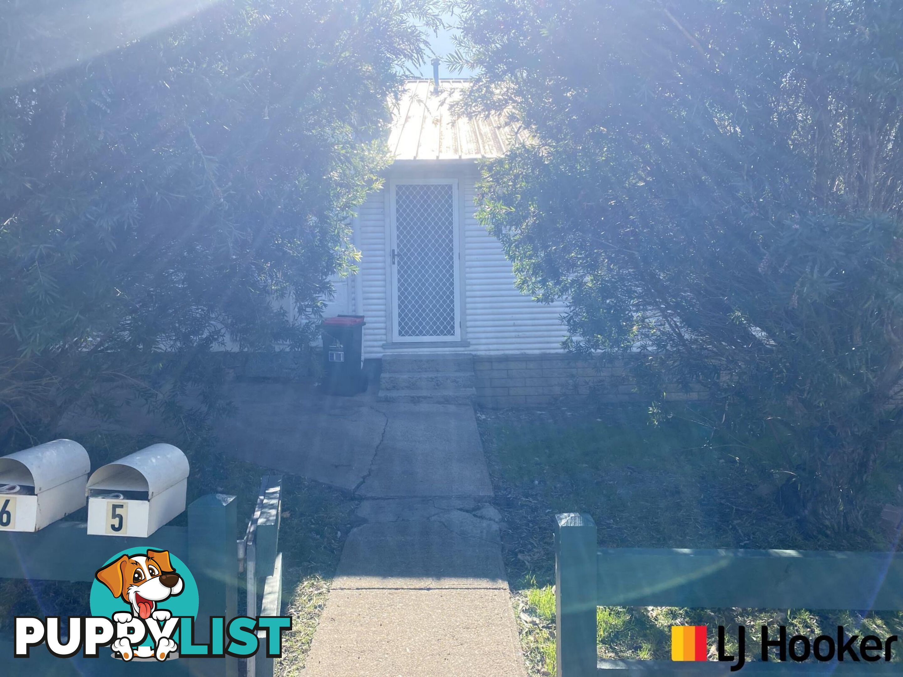 6/33 Page Street MORUYA NSW 2537
