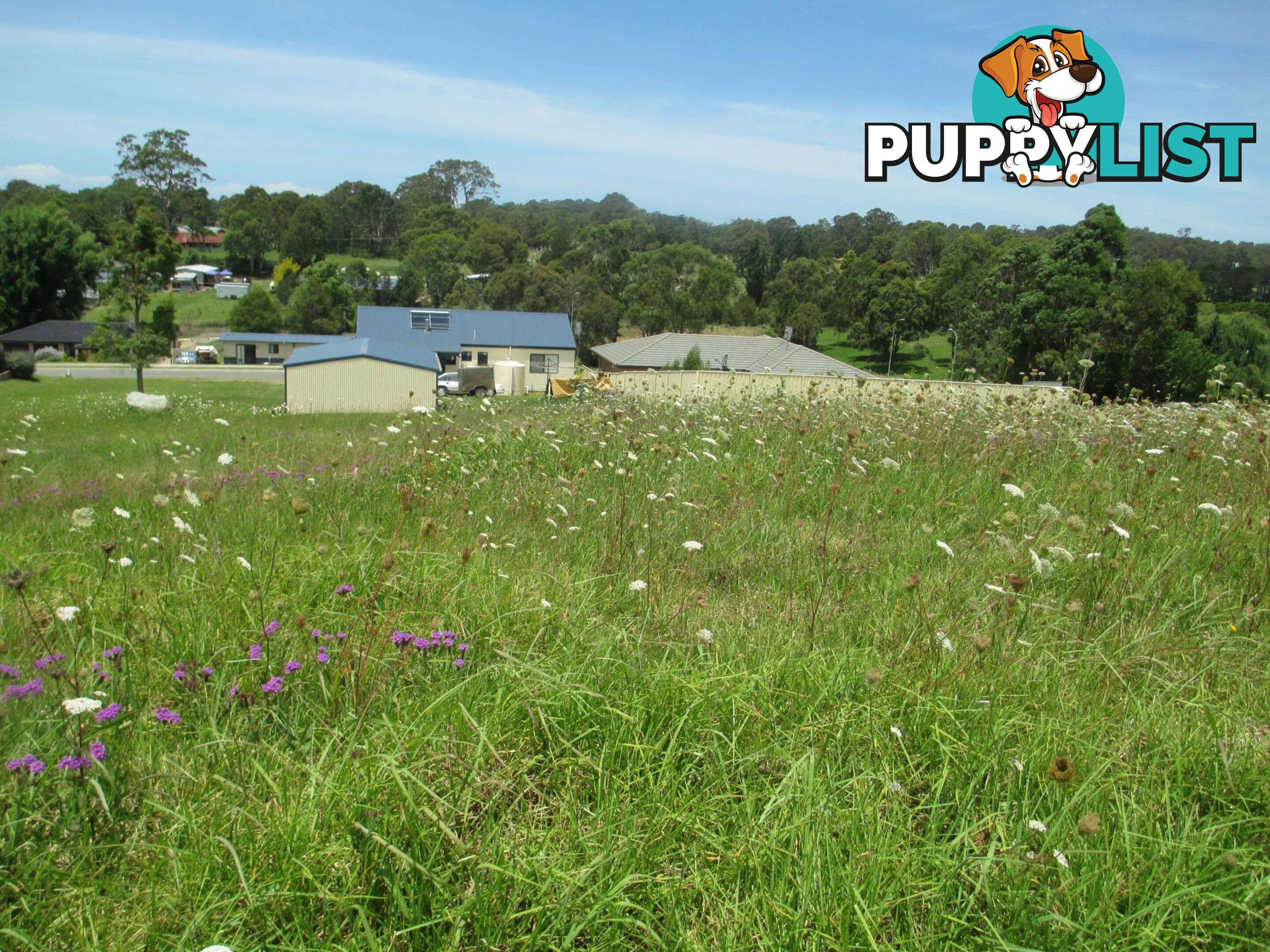 Lot 38 Swan Ridge Place MORUYA NSW 2537