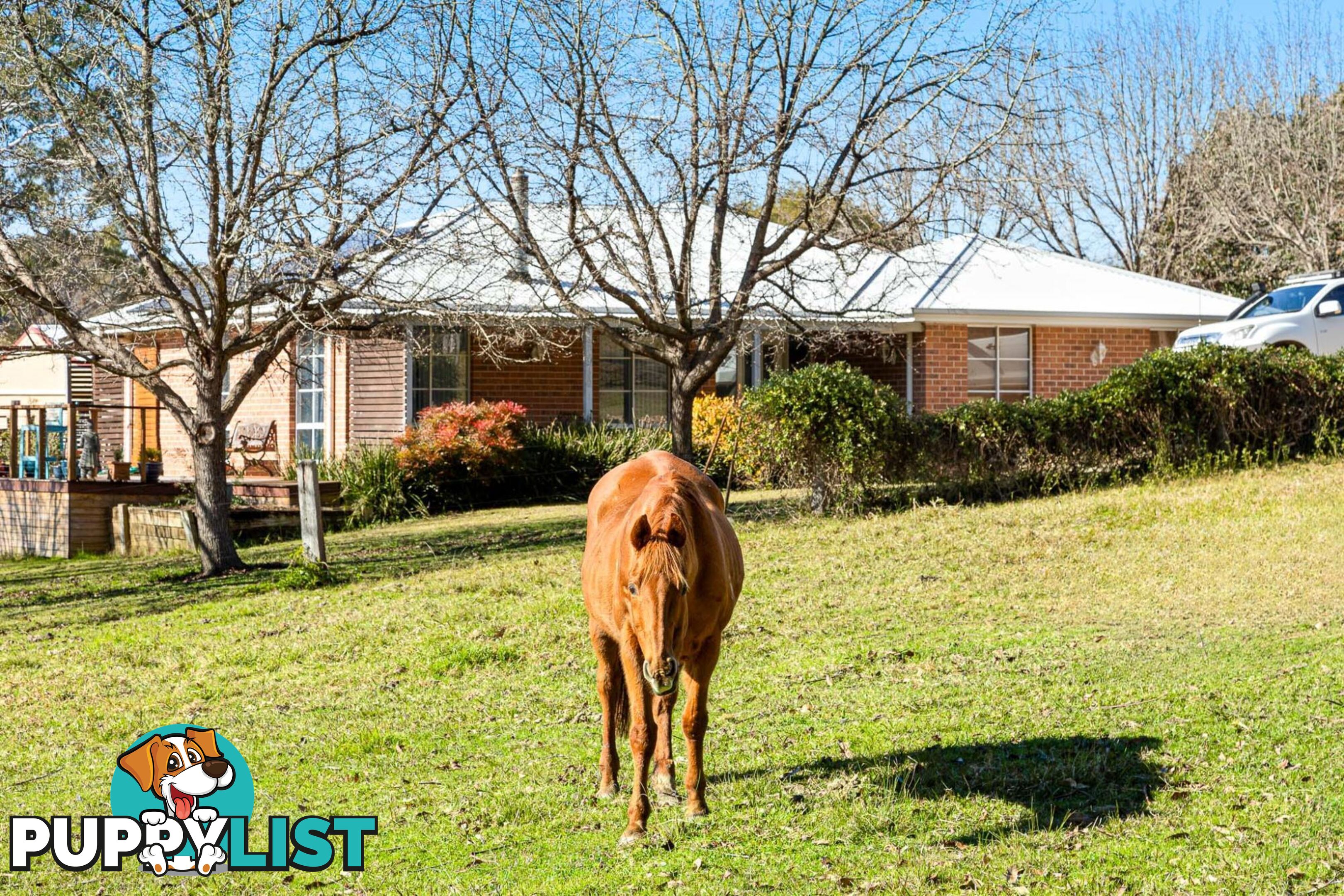 233 Wamban Road MORUYA NSW 2537