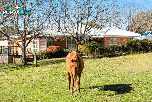 233 Wamban Road MORUYA NSW 2537
