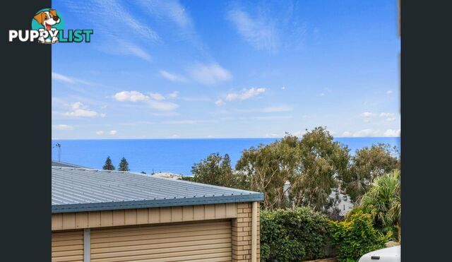 8 Knox Court KINGSCLIFF NSW 2487