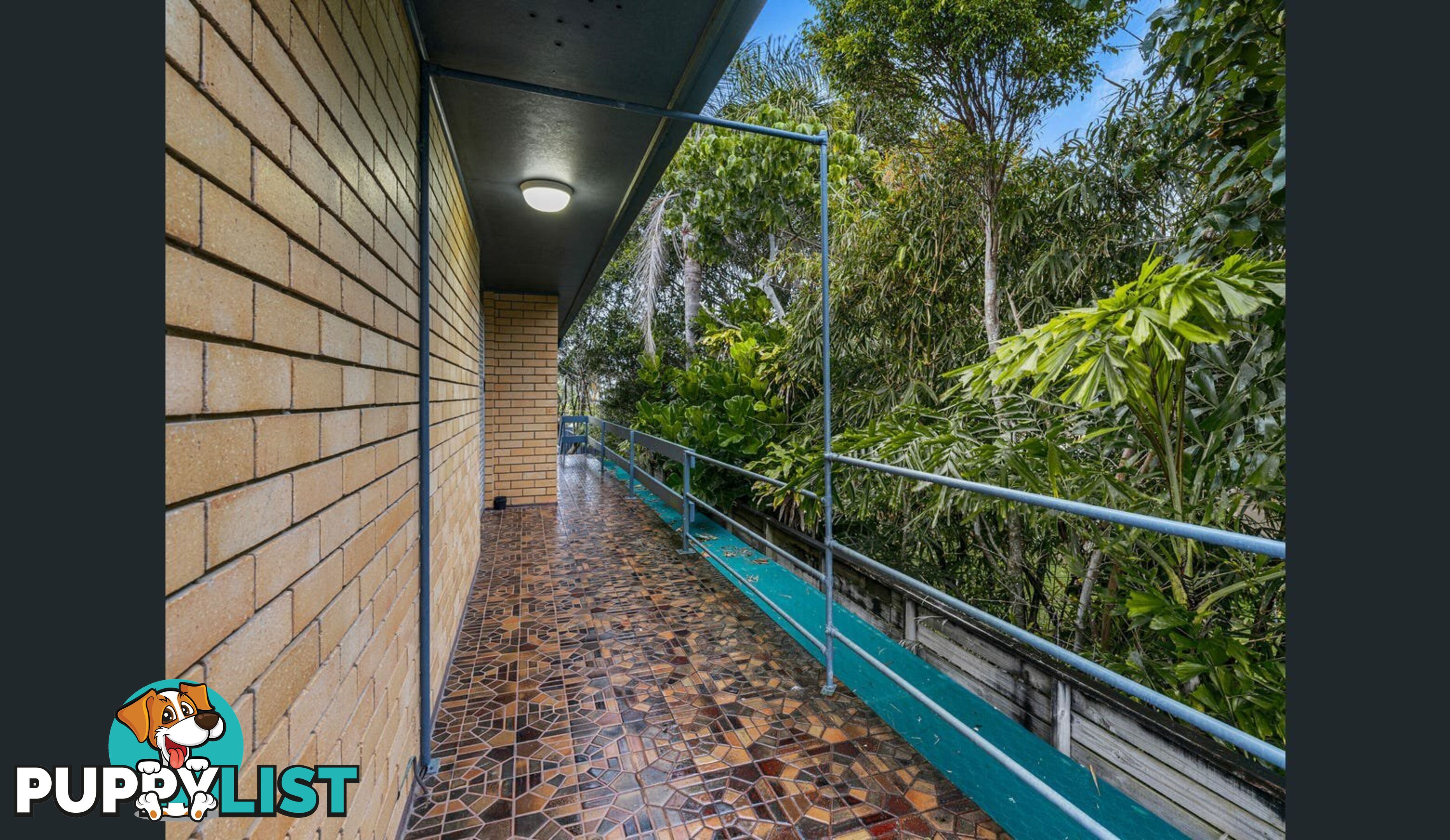 8 Knox Court KINGSCLIFF NSW 2487