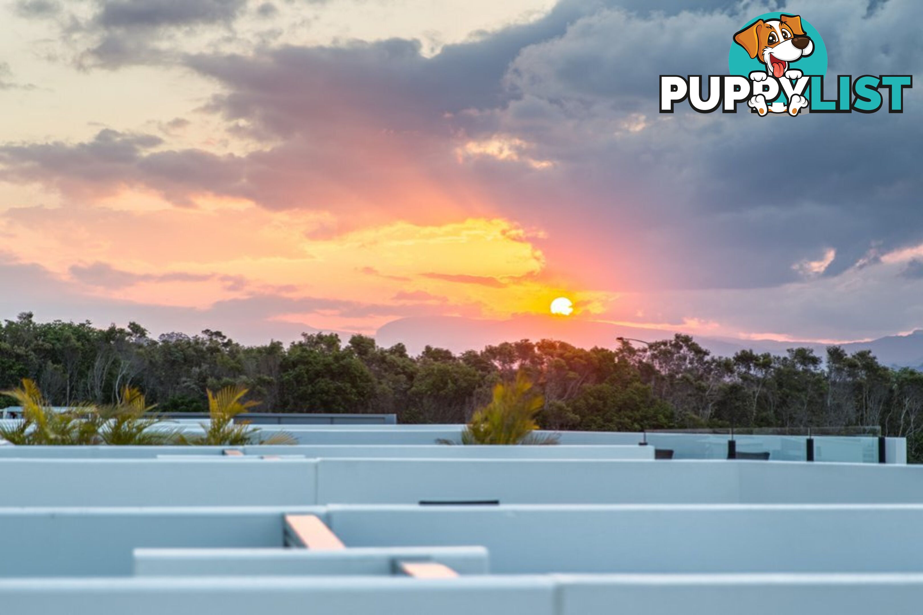 45/685 Casuarina Way CASUARINA NSW 2487