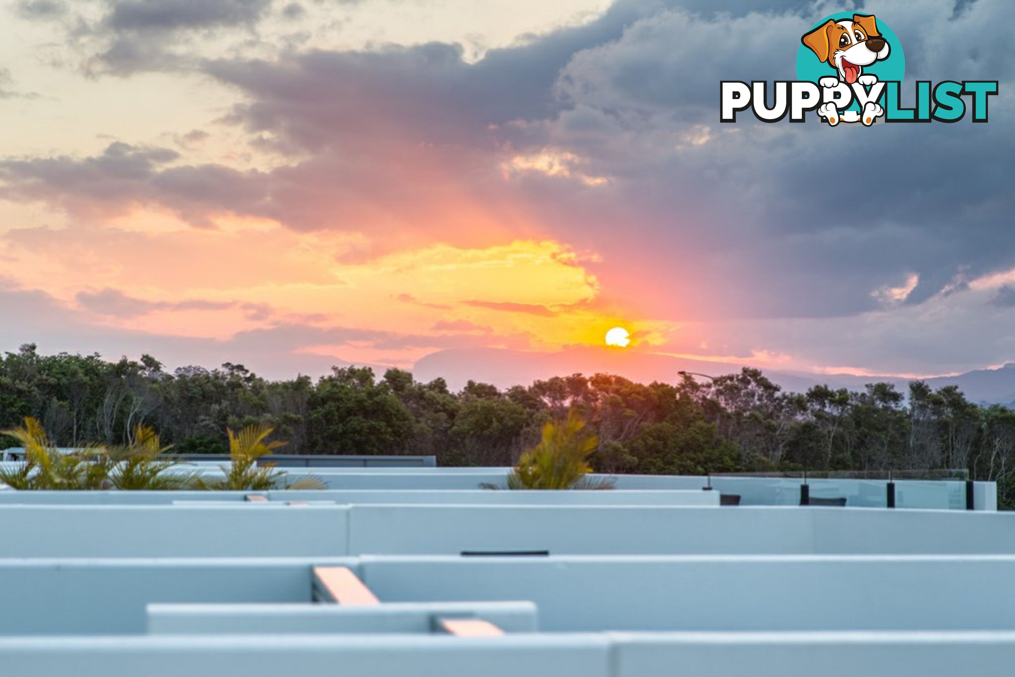 45/685 Casuarina Way CASUARINA NSW 2487