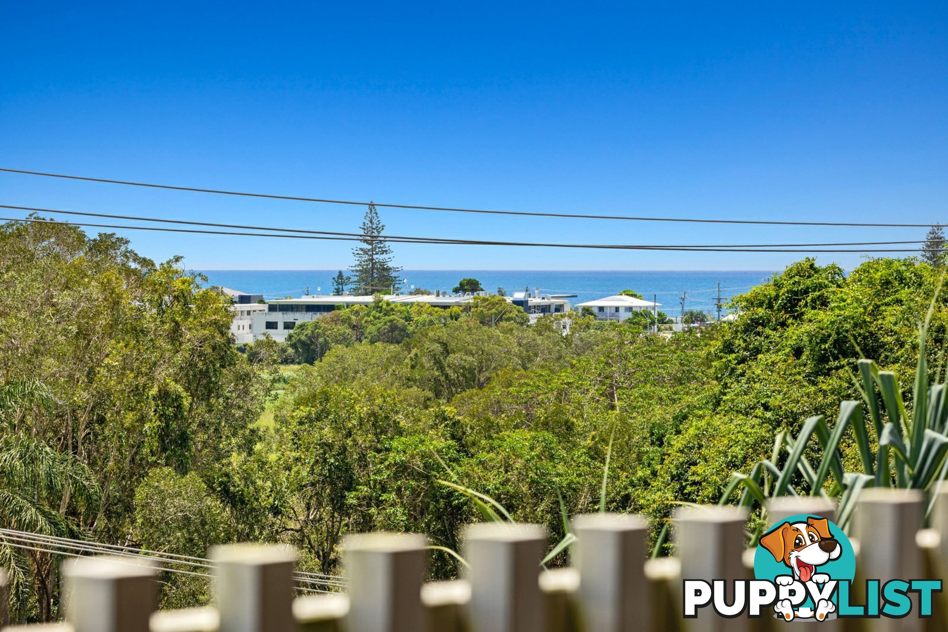 24 Cudgen Road KINGSCLIFF NSW 2487