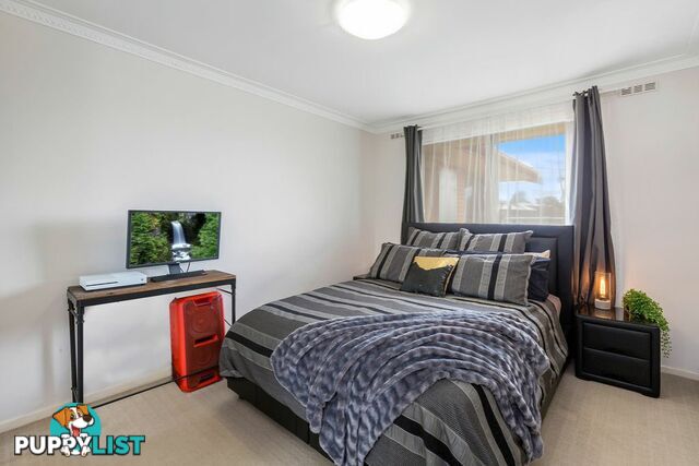 36 Sutherland Street KINGSCLIFF NSW 2487