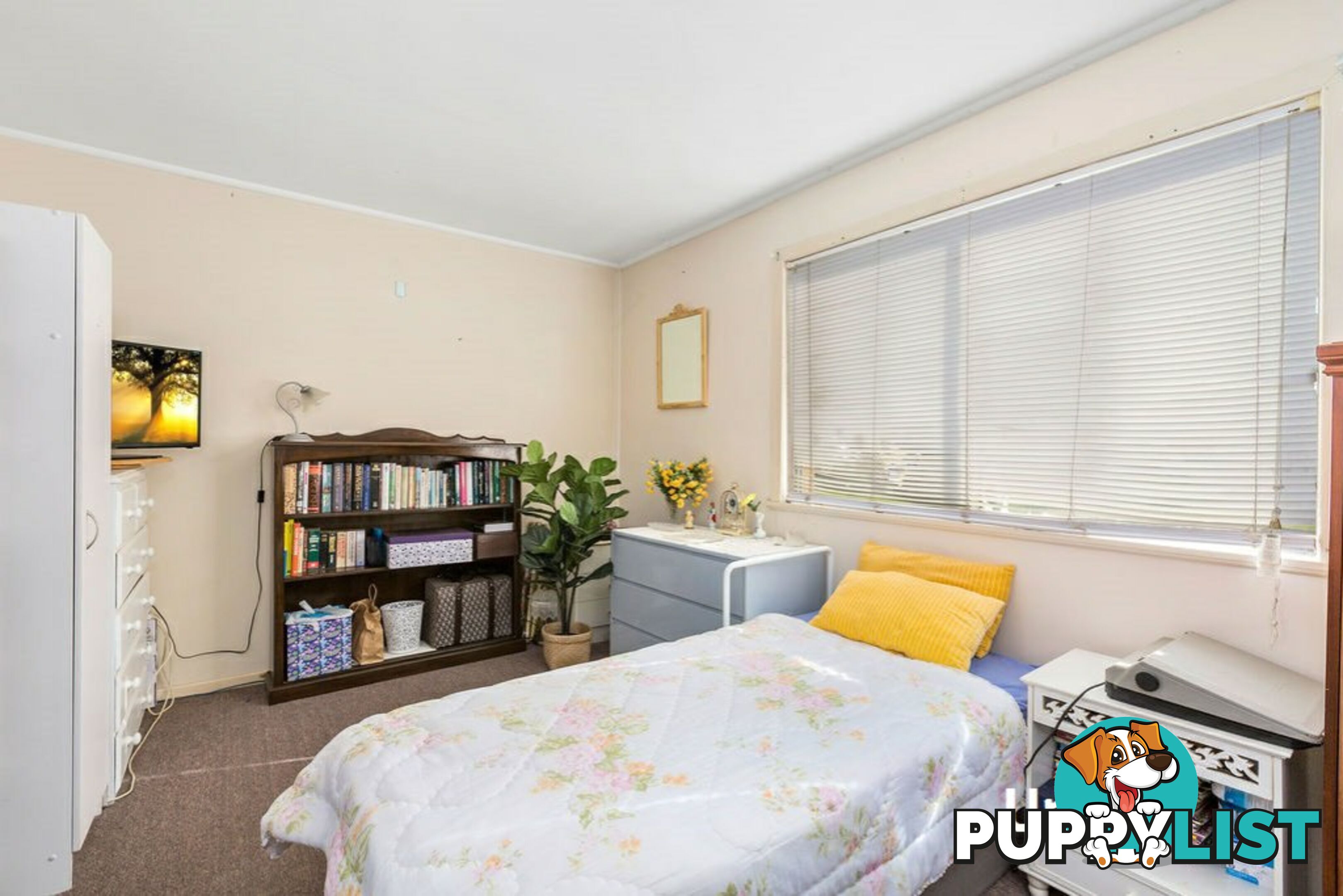 36 Sutherland Street KINGSCLIFF NSW 2487