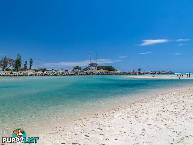 22 Kingfisher Circuit KINGSCLIFF NSW 2487