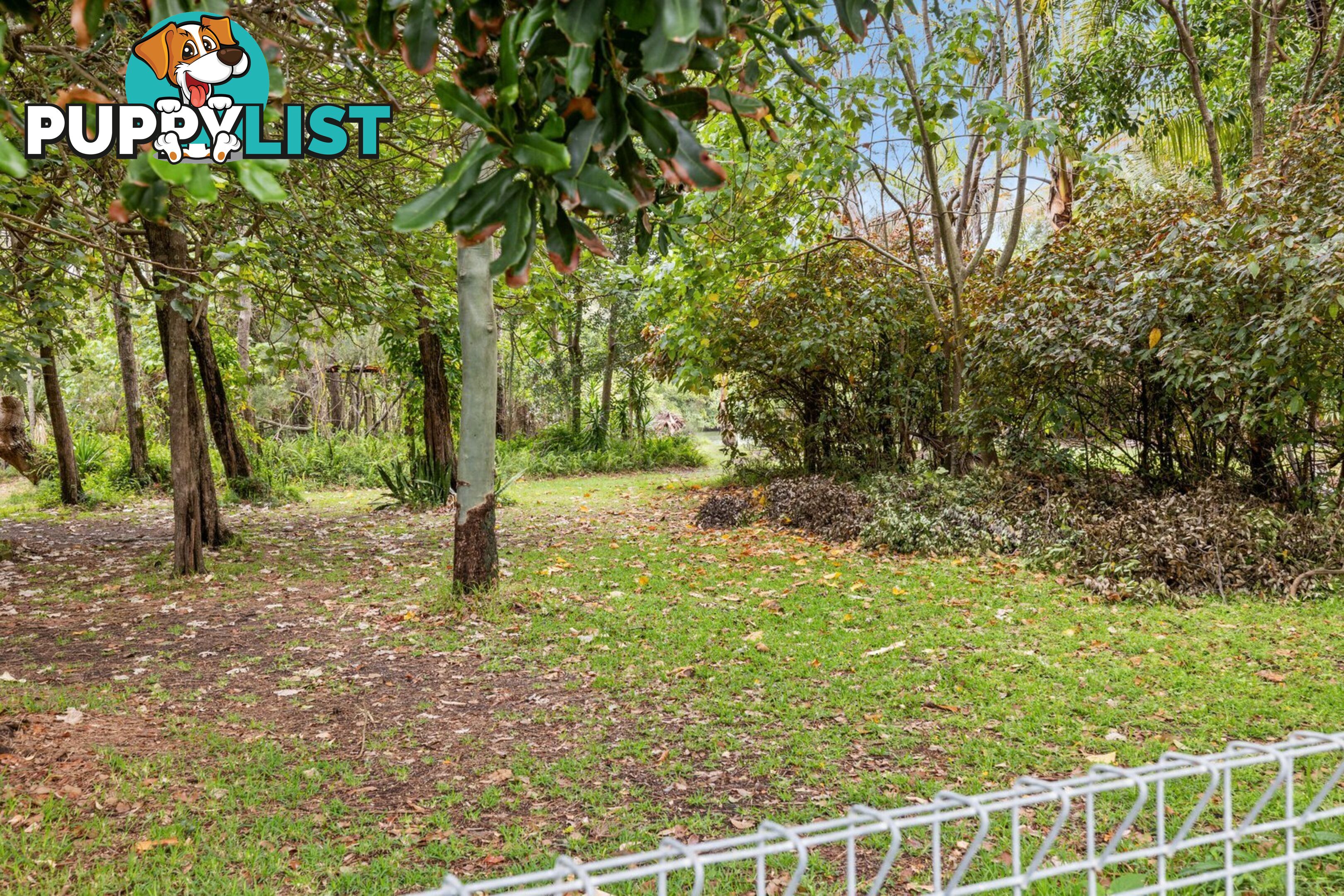 53 Fingal Road FINGAL HEAD NSW 2487