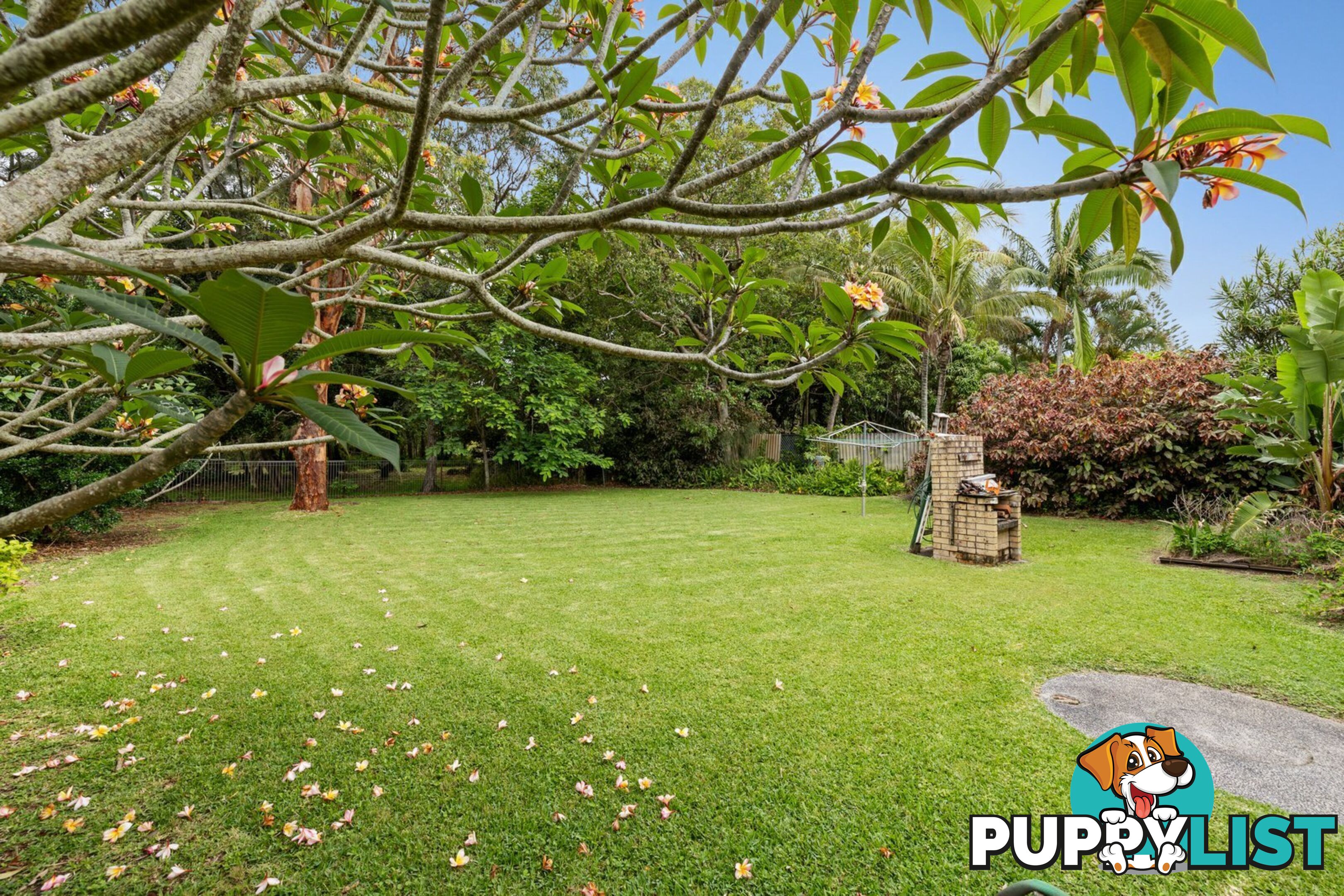 53 Fingal Road FINGAL HEAD NSW 2487