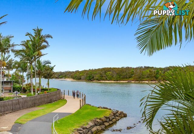 3/29 Sailfish Way KINGSCLIFF NSW 2487