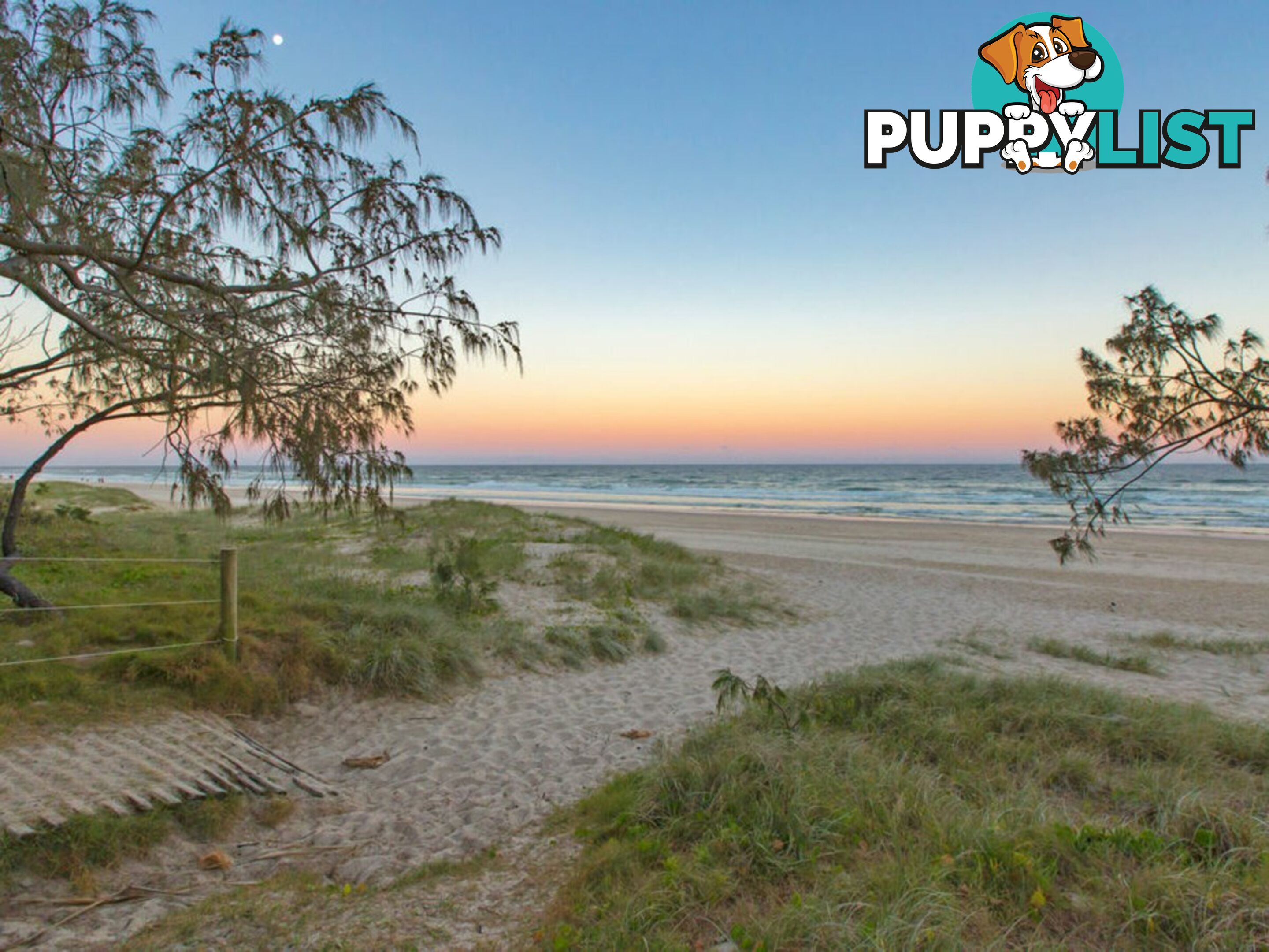 3/29 Sailfish Way KINGSCLIFF NSW 2487