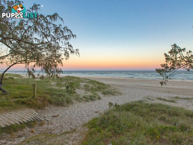 3/29 Sailfish Way KINGSCLIFF NSW 2487