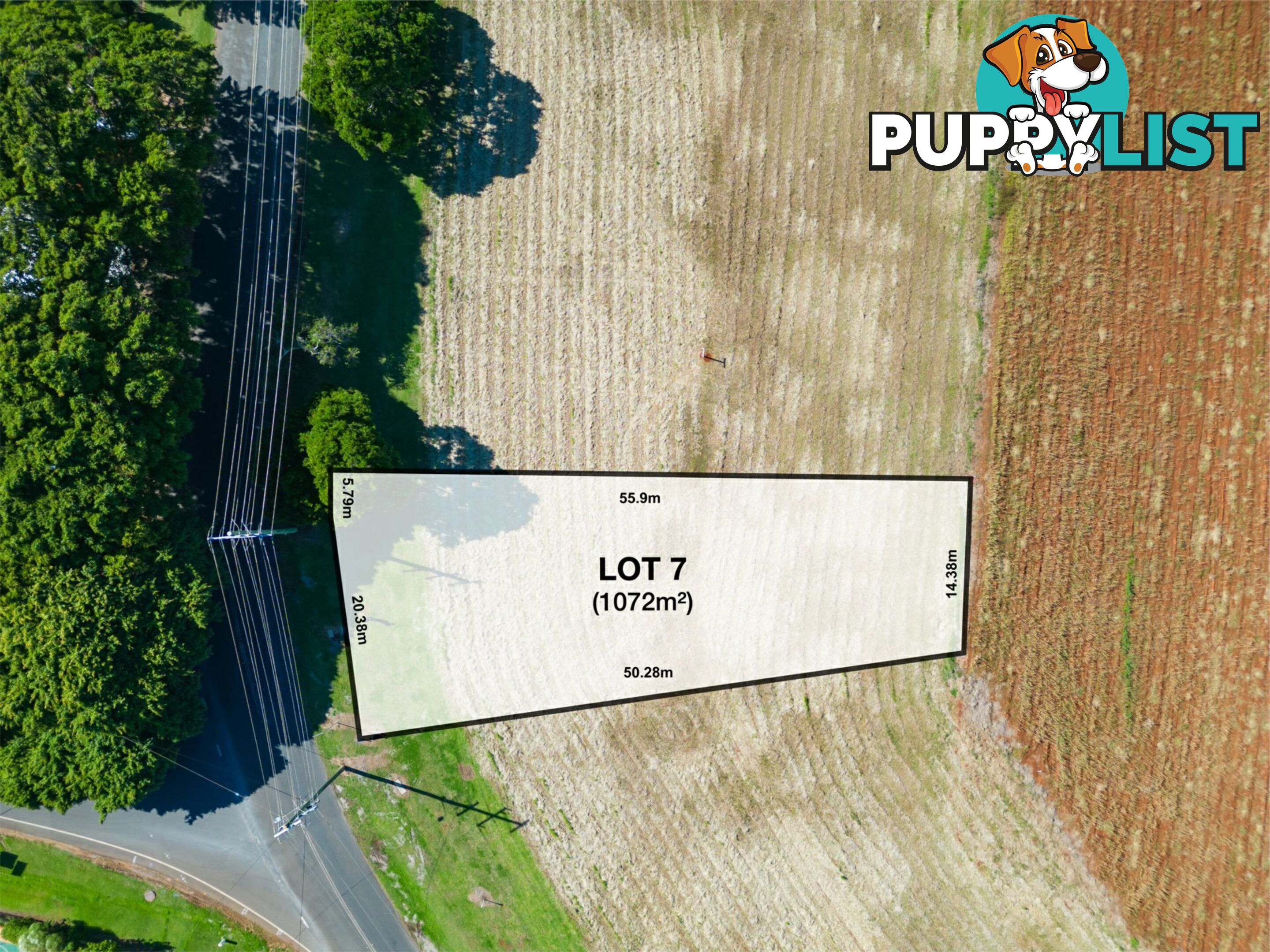 Lot 7/101 Cudgen Road CUDGEN NSW 2487