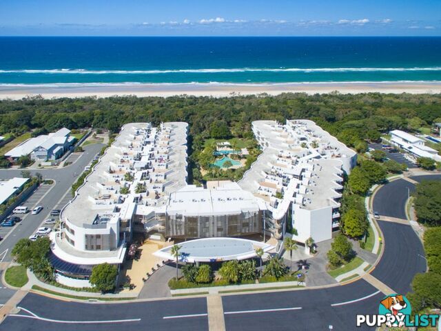 61/685 Casuarina Way CASUARINA NSW 2487