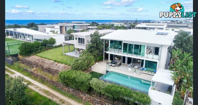 6 Cathedral Court KINGSCLIFF NSW 2487