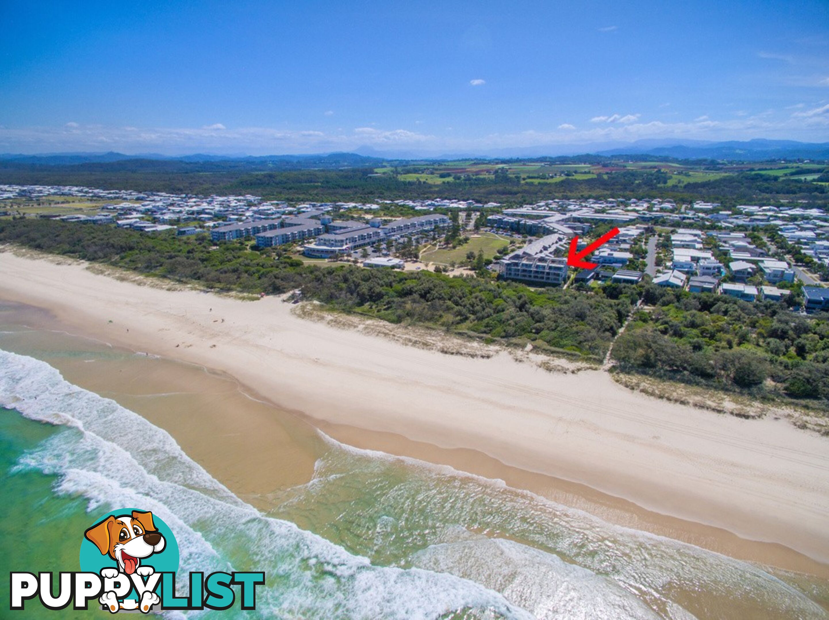 1128/1 Bells Boulevarde KINGSCLIFF NSW 2487