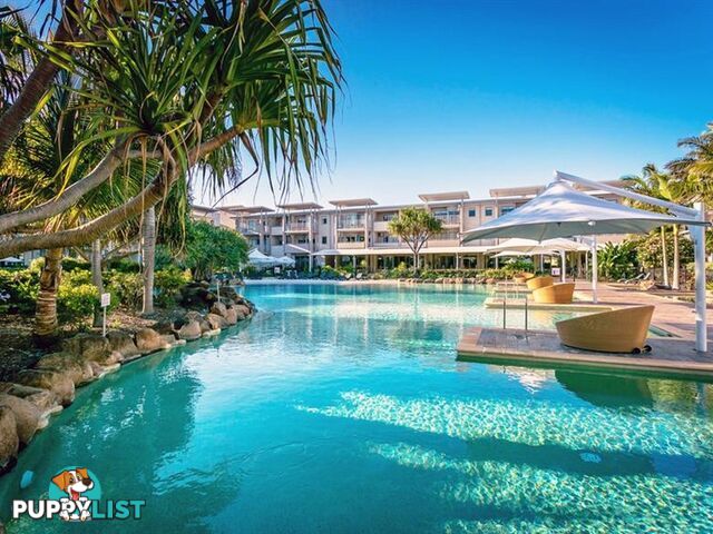 1128/1 Bells Boulevarde KINGSCLIFF NSW 2487