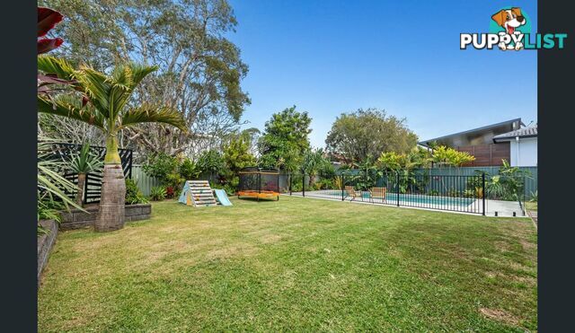 29 Terrace Street KINGSCLIFF NSW 2487