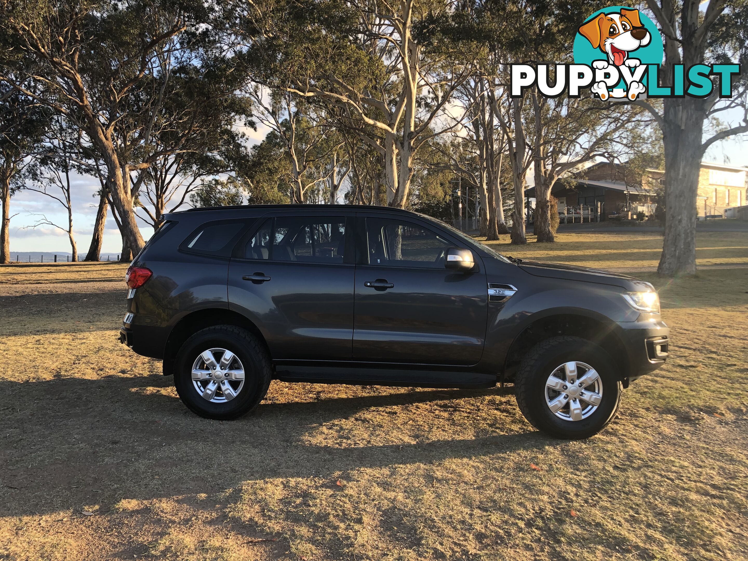 2018 Ford Everest SUV Automatic