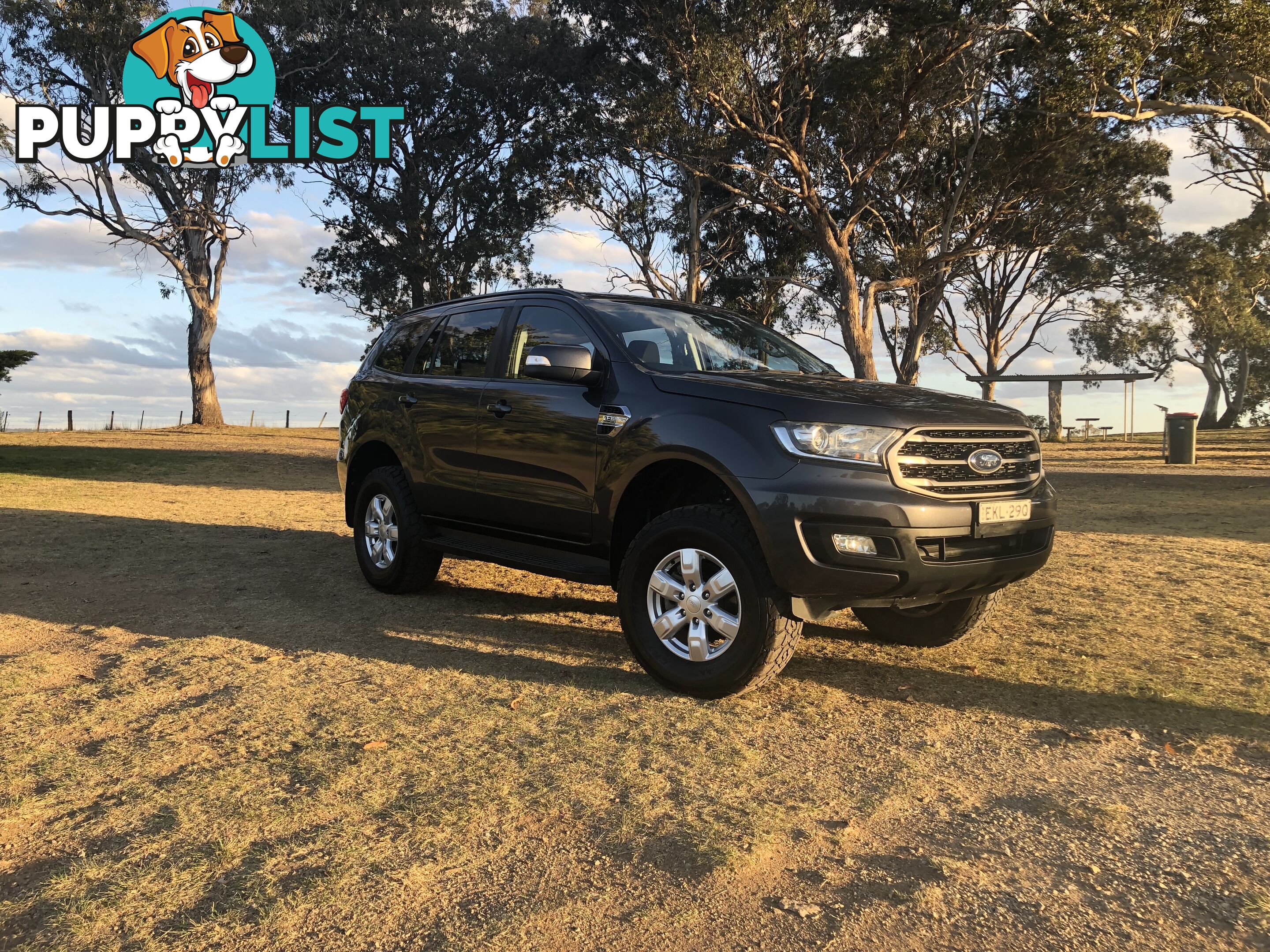 2018 Ford Everest SUV Automatic