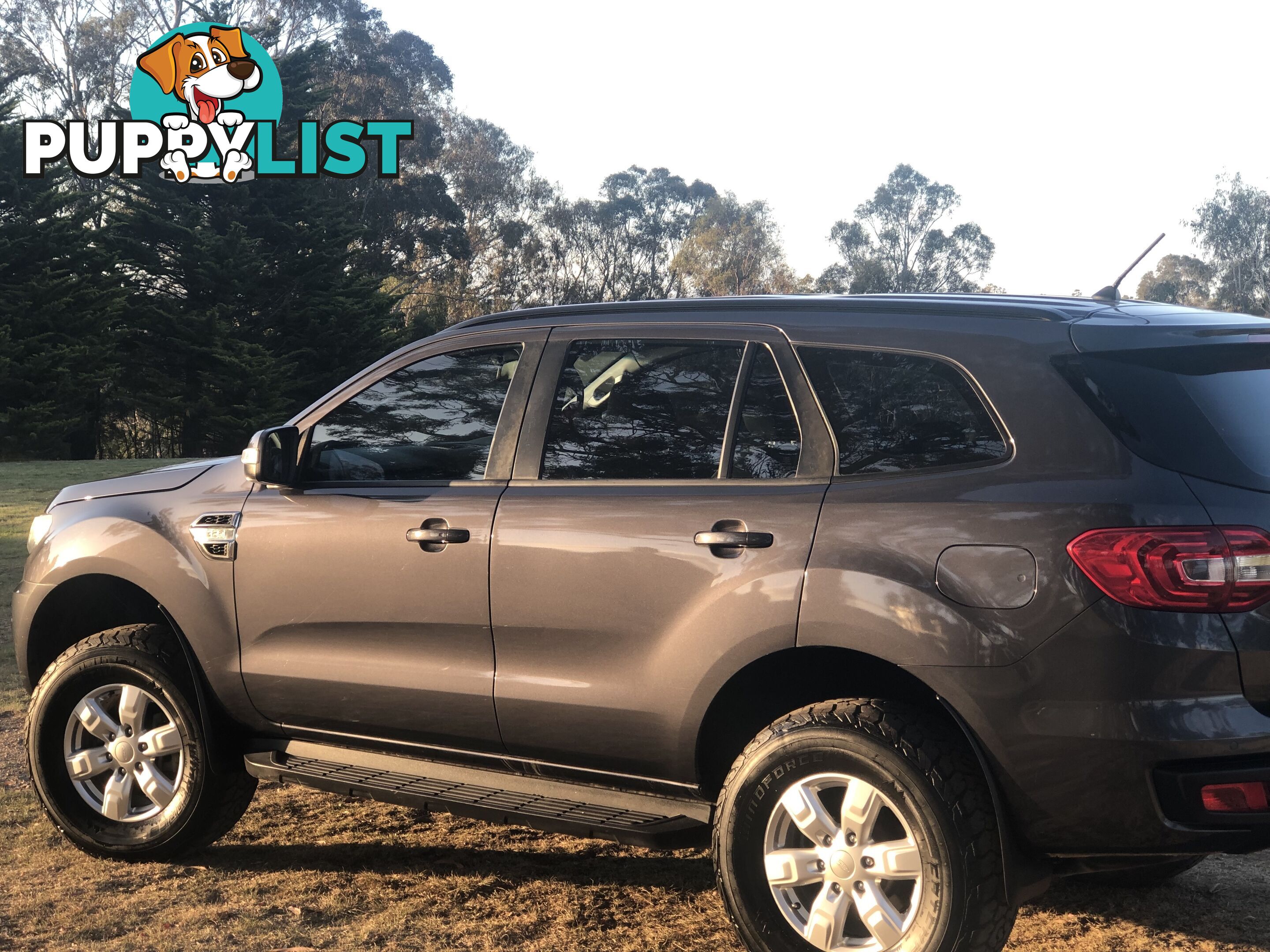 2018 Ford Everest SUV Automatic