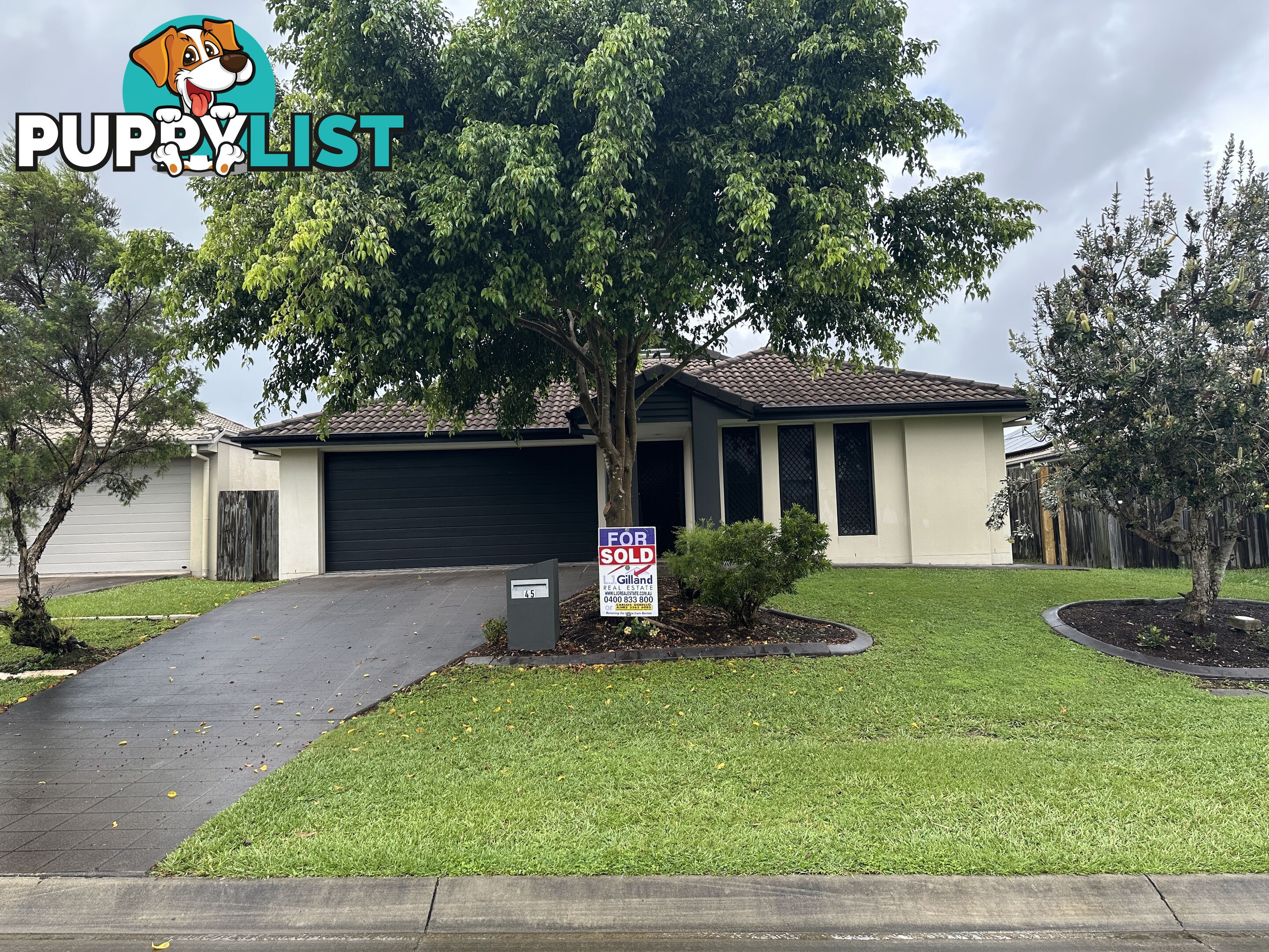 45 Reardon Street CALAMVALE QLD 4116