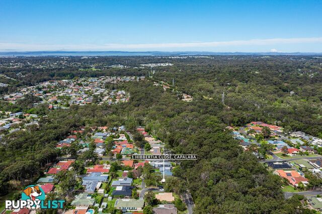 1 Hibbertia Close CAPALABA QLD 4157