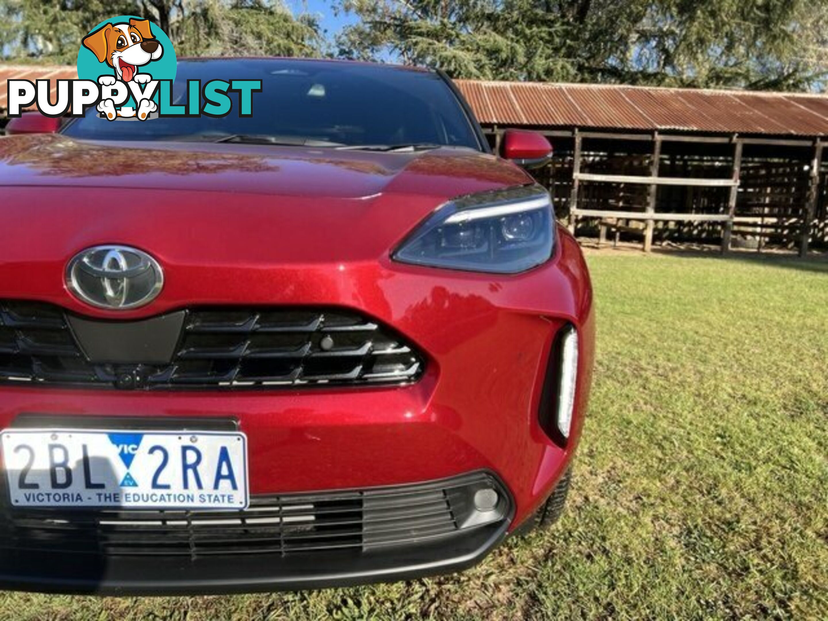 2024 TOYOTA YARIS CROSS   HATCHBACK