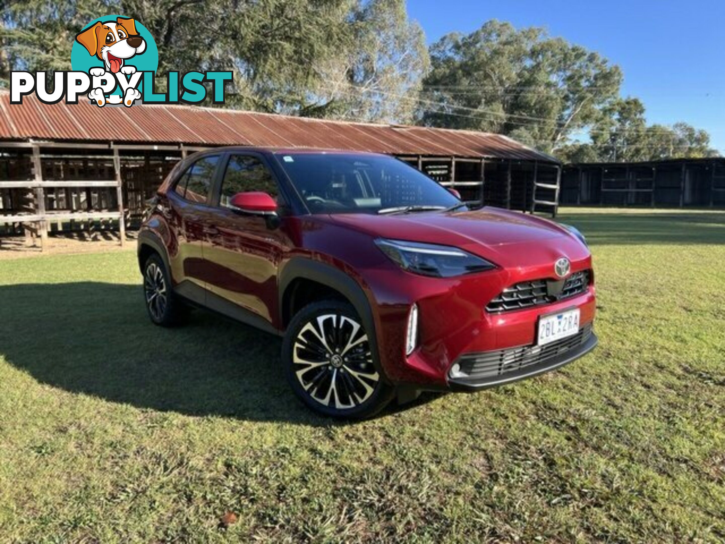 2024 TOYOTA YARIS CROSS   HATCHBACK