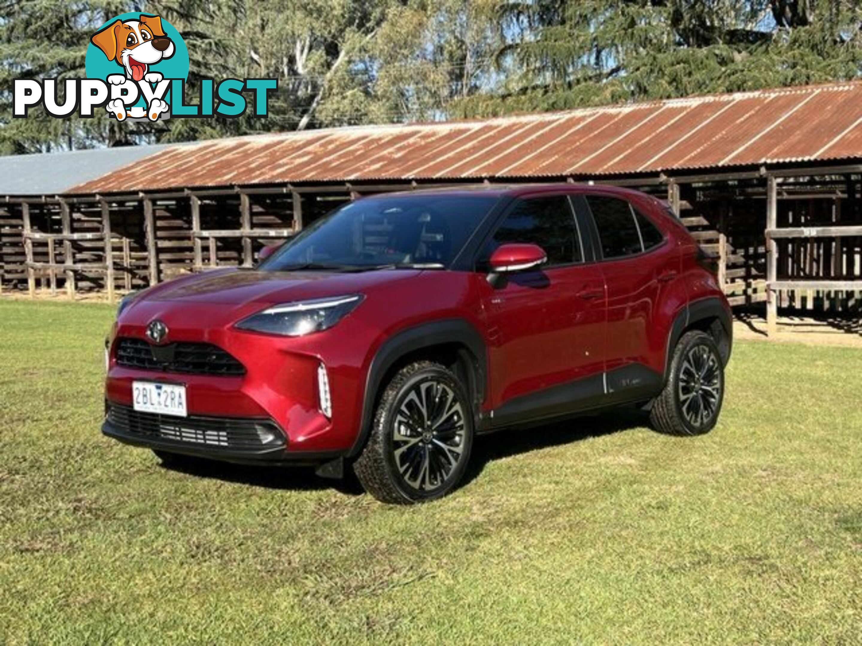 2024 TOYOTA YARIS CROSS   HATCHBACK