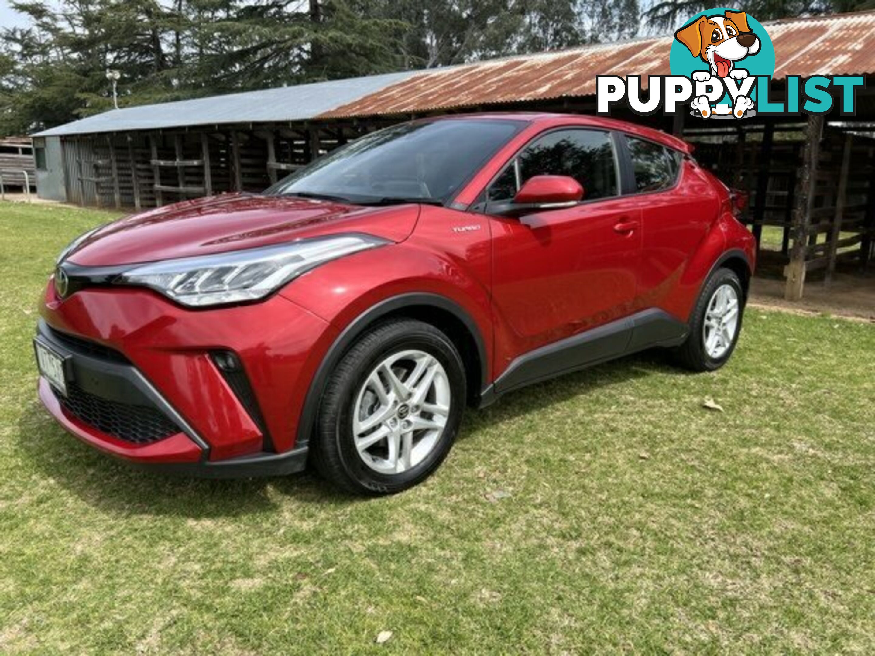 2022 TOYOTA C-HR  GXL WAGON