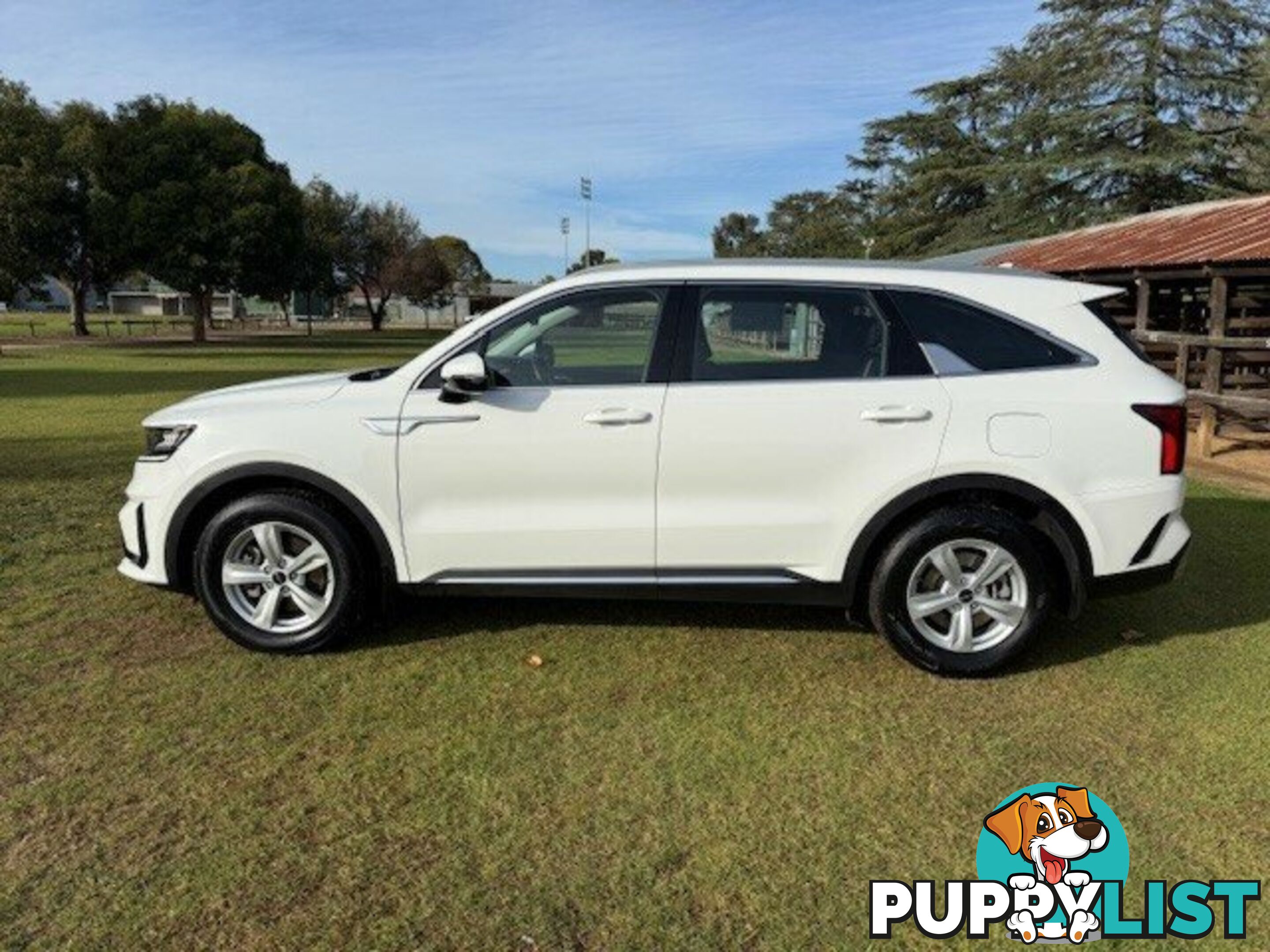 2023 KIA SORENTO MQ4 MY23 S 7 SEAT WAGON
