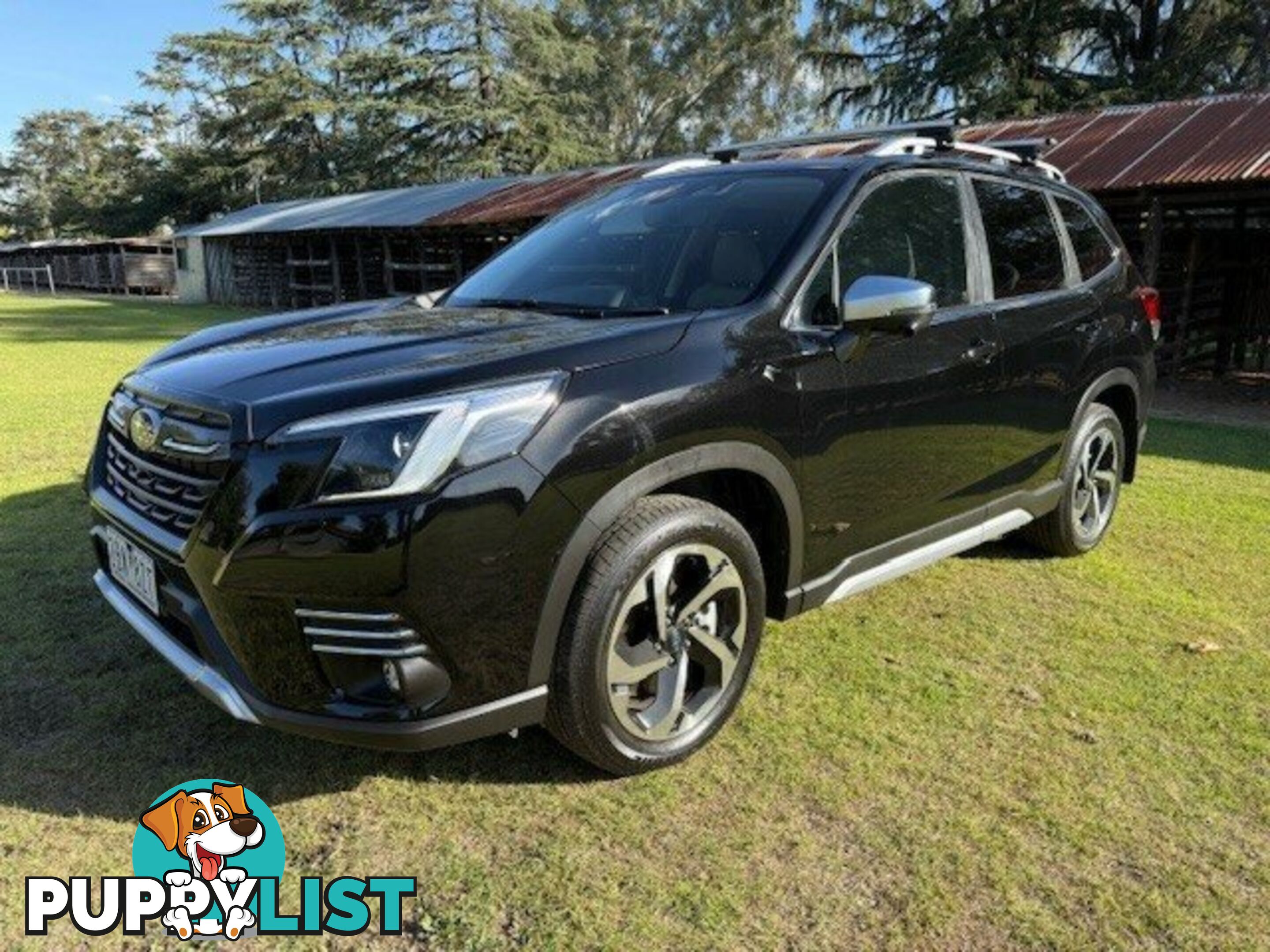 2024 SUBARU FORESTER MY24 2.5I-S (AWD) WAGON