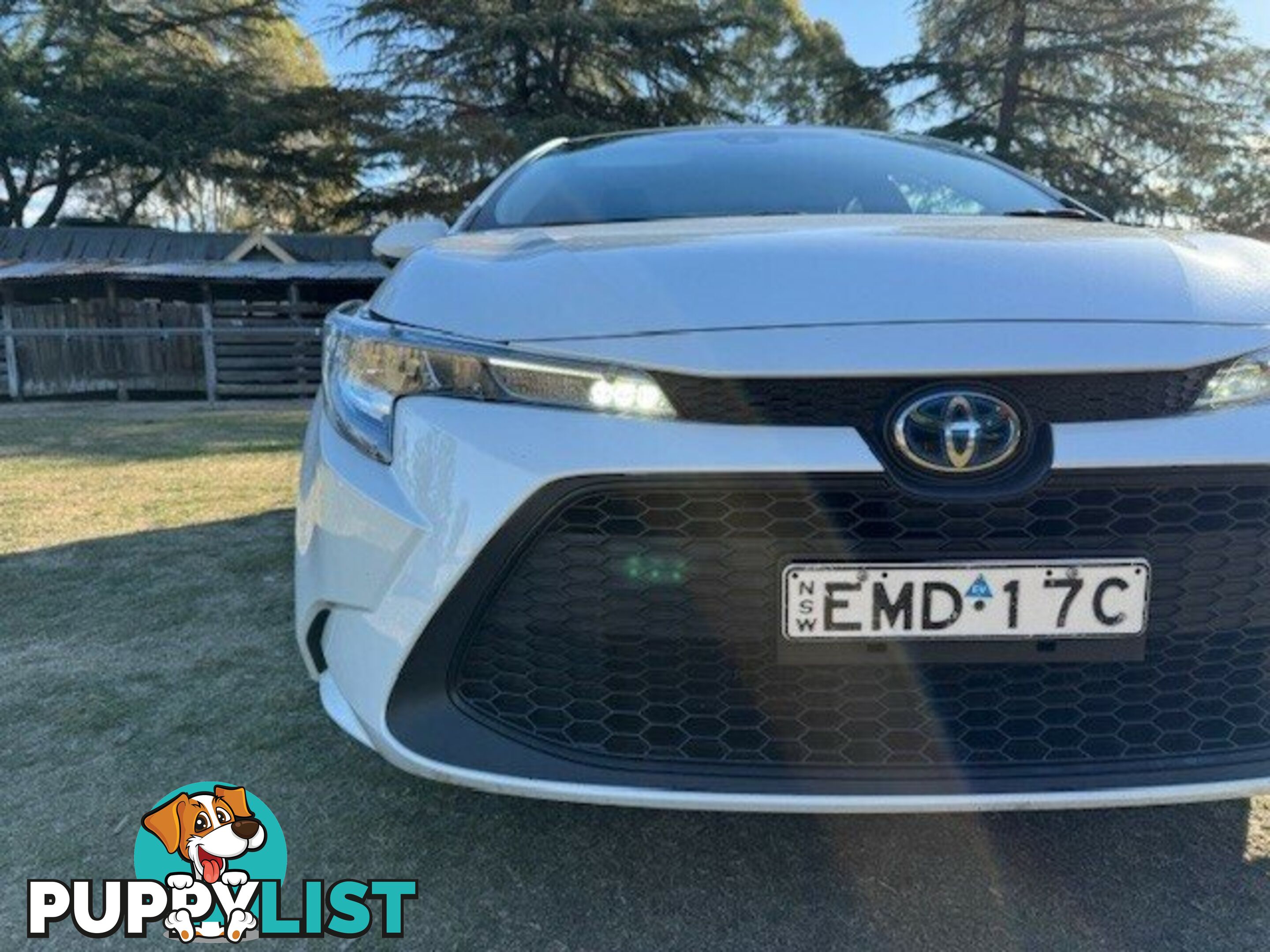 2021 TOYOTA COROLLA   SEDAN