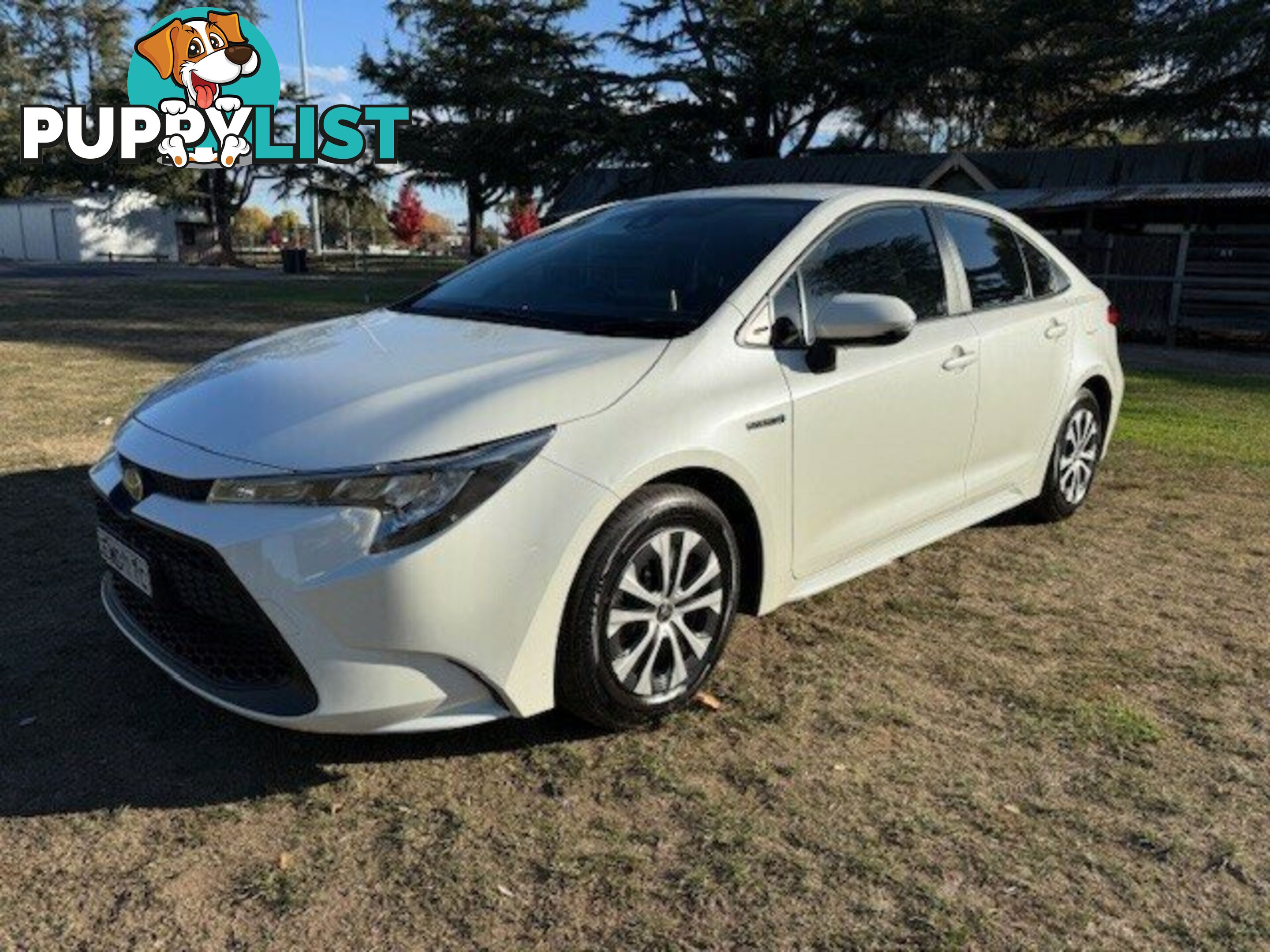 2021 TOYOTA COROLLA   SEDAN