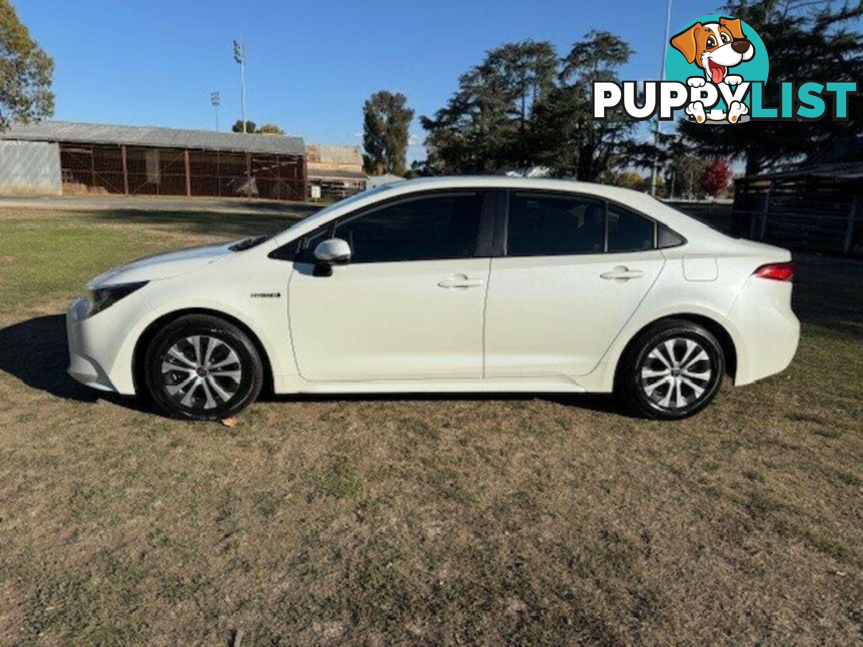 2021 TOYOTA COROLLA   SEDAN
