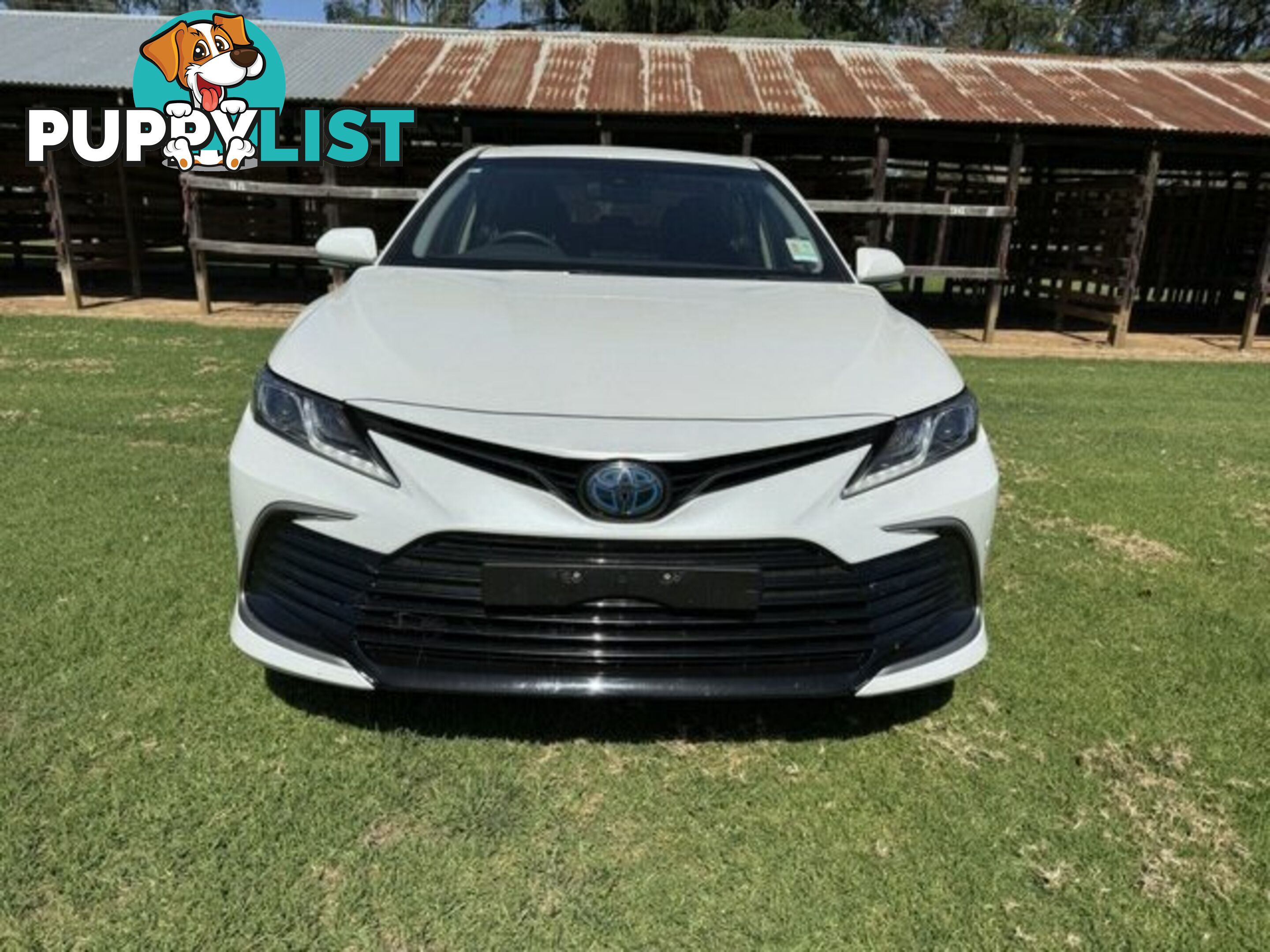 2021 TOYOTA CAMRY  HYBRID SEDAN