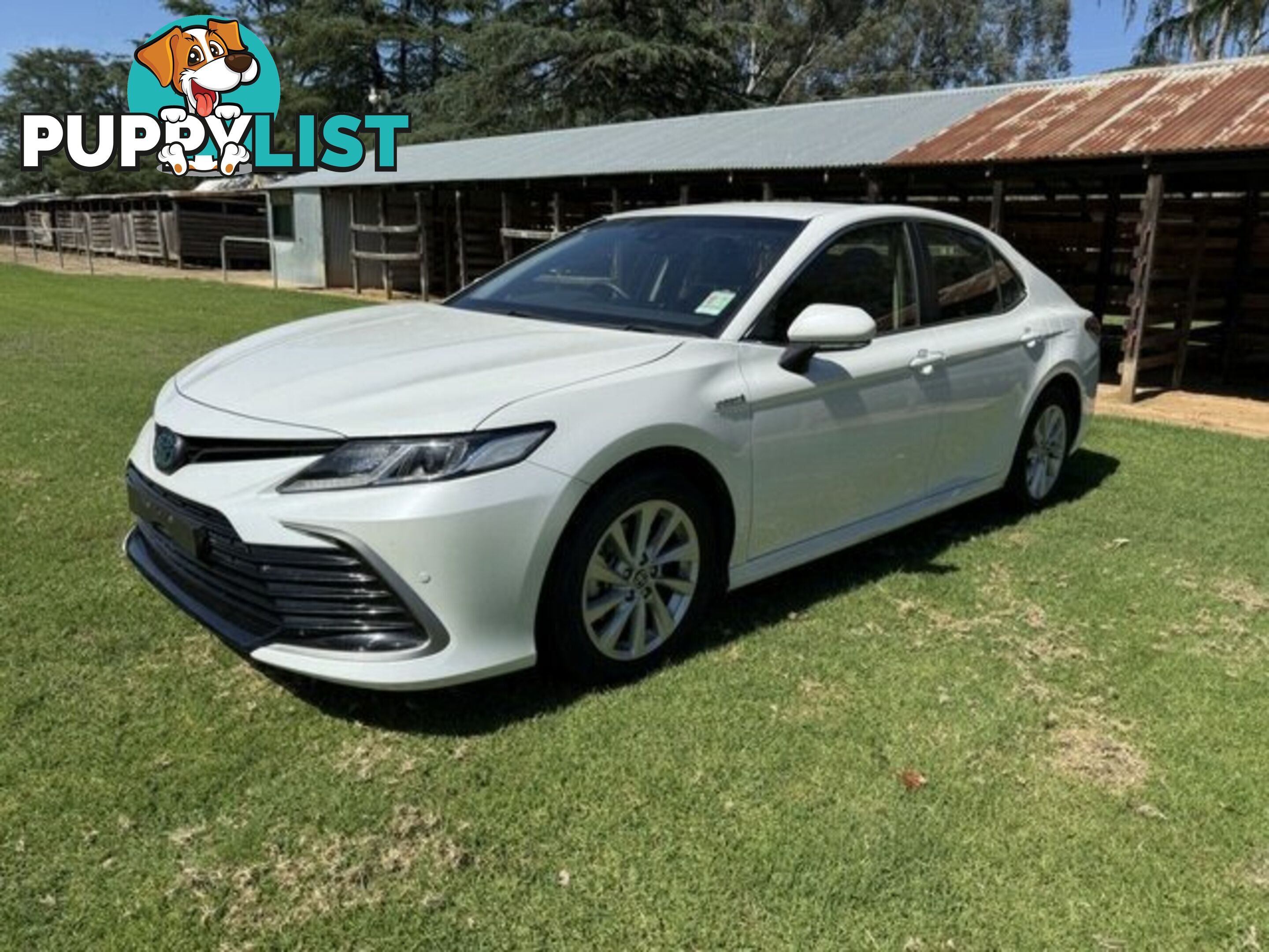 2021 TOYOTA CAMRY  HYBRID SEDAN