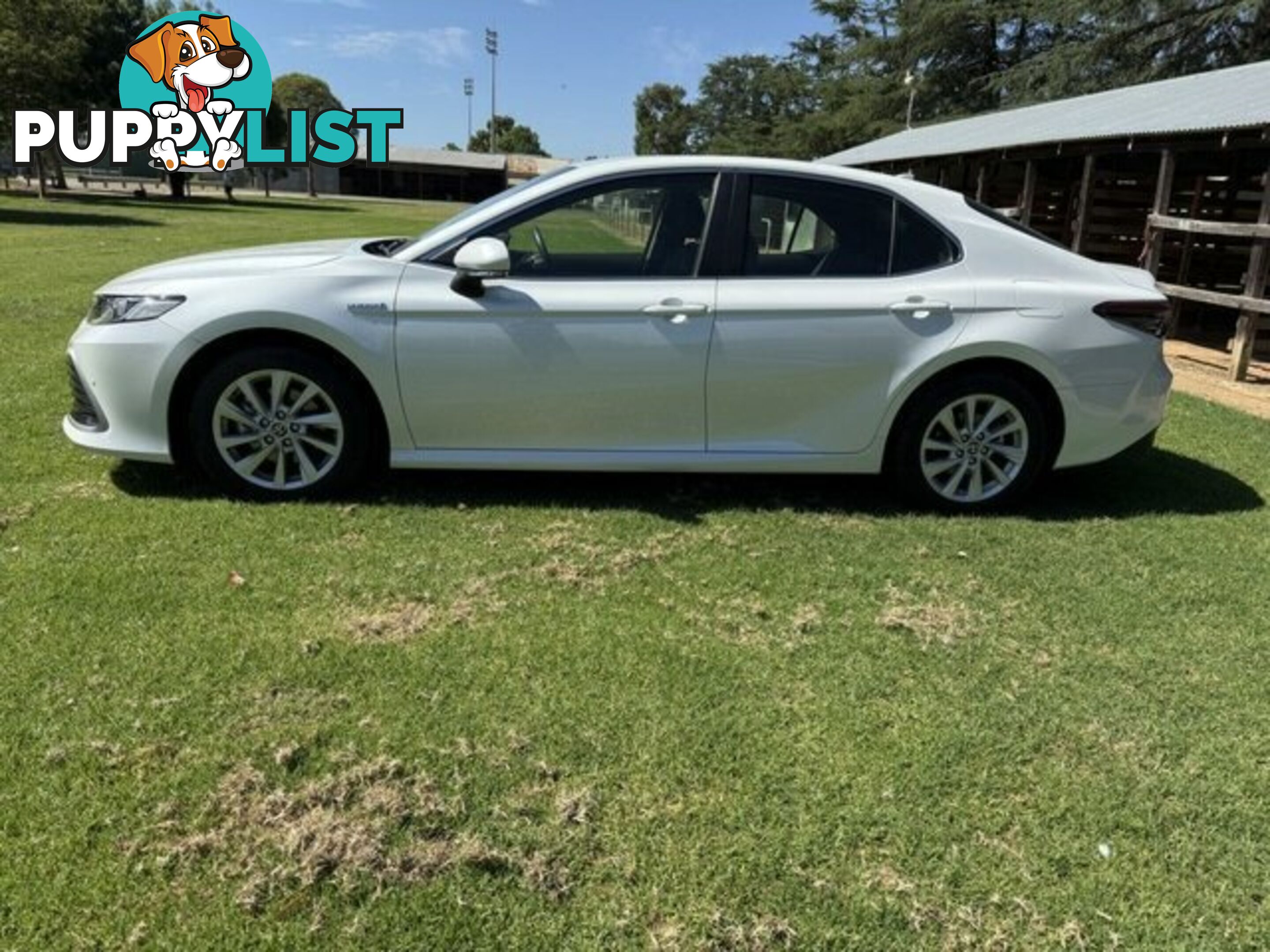 2021 TOYOTA CAMRY  HYBRID SEDAN