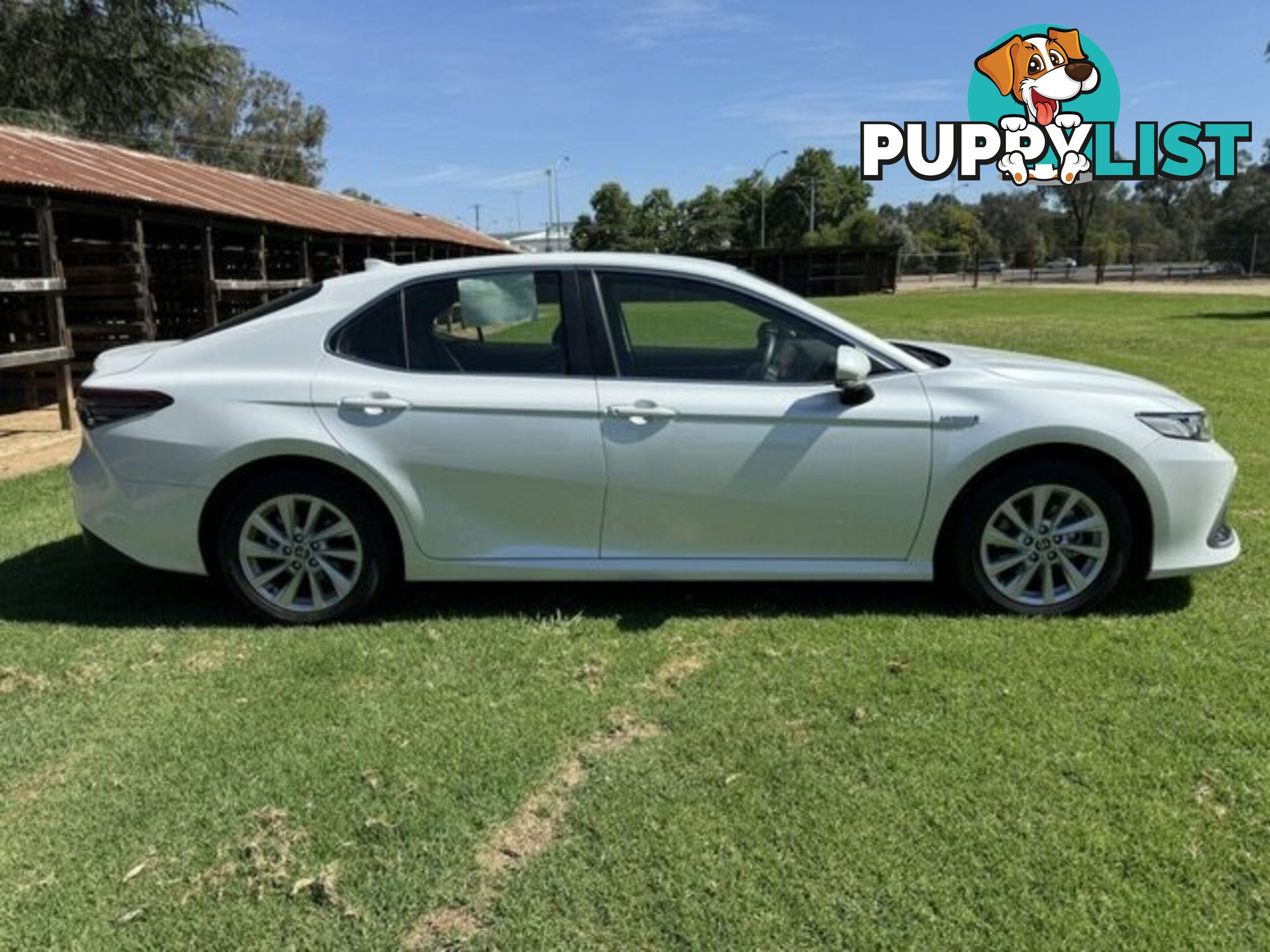 2021 TOYOTA CAMRY  HYBRID SEDAN