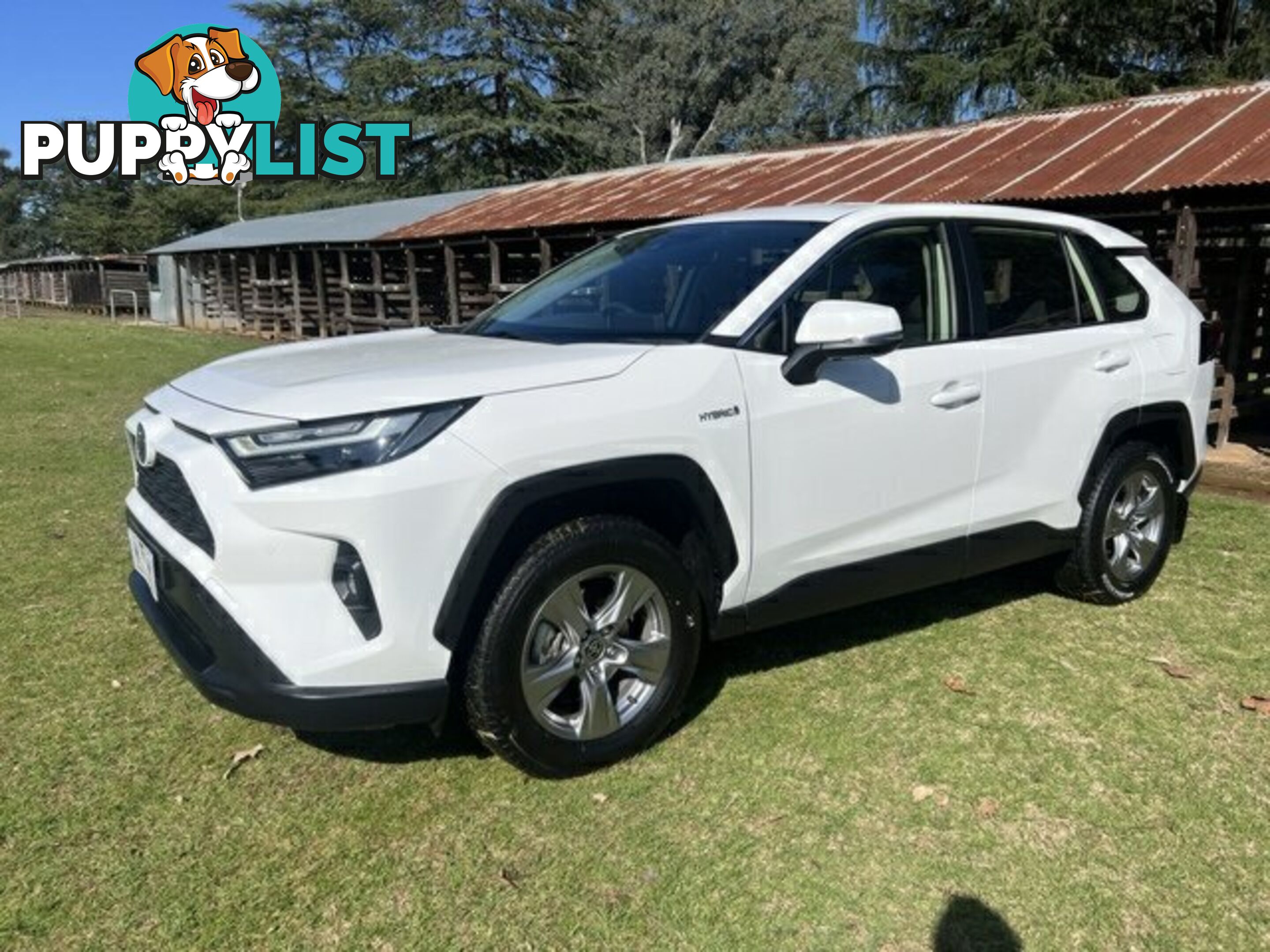 2022 TOYOTA RAV4   WAGON