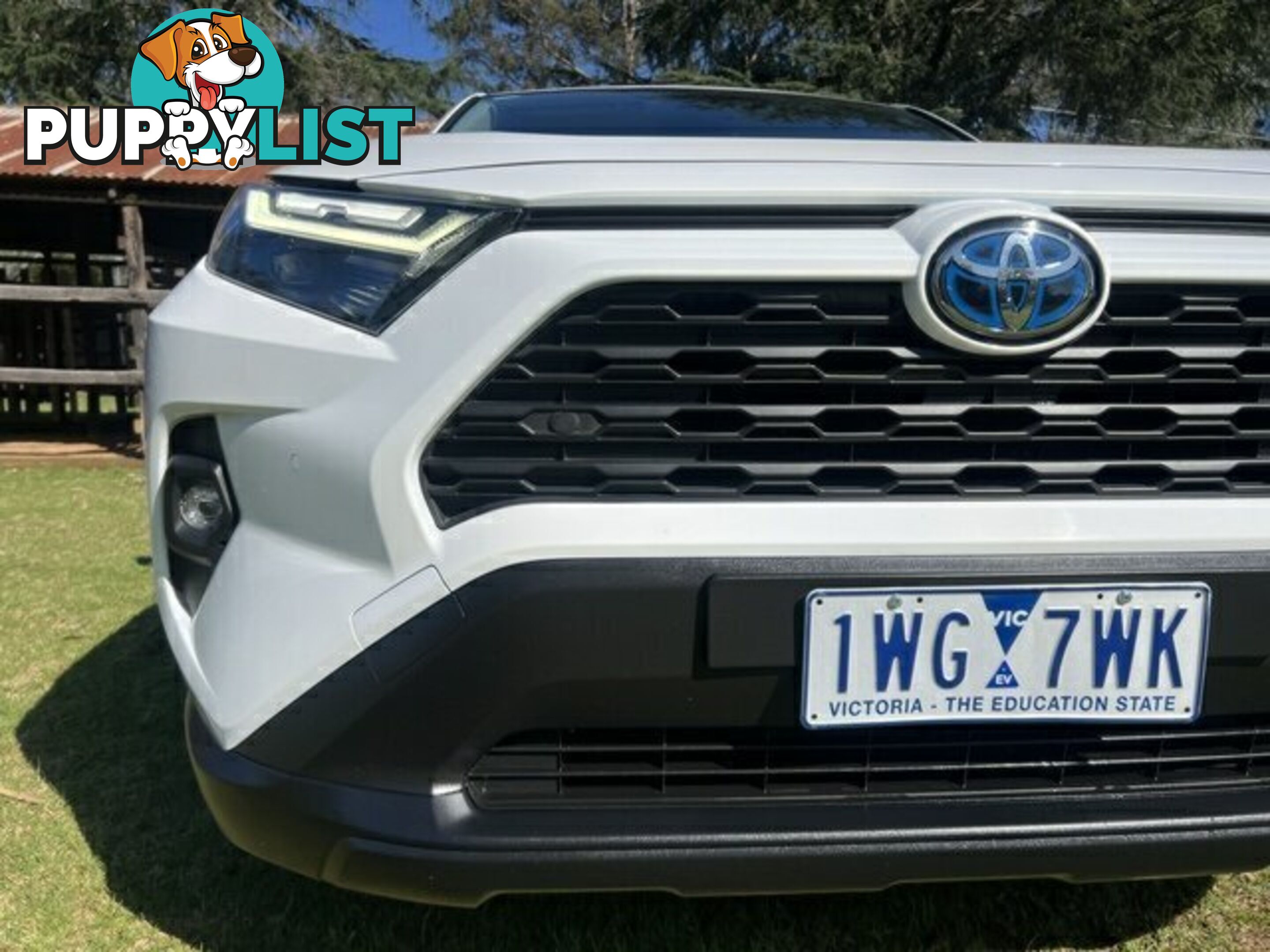 2022 TOYOTA RAV4   WAGON