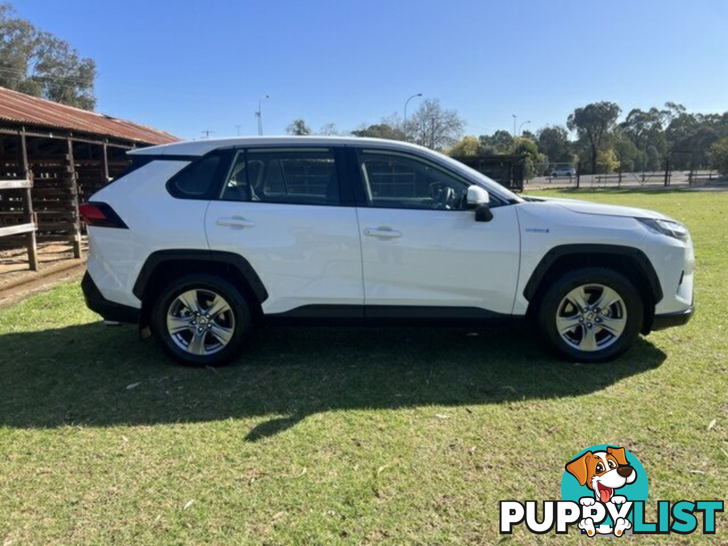 2022 TOYOTA RAV4   WAGON